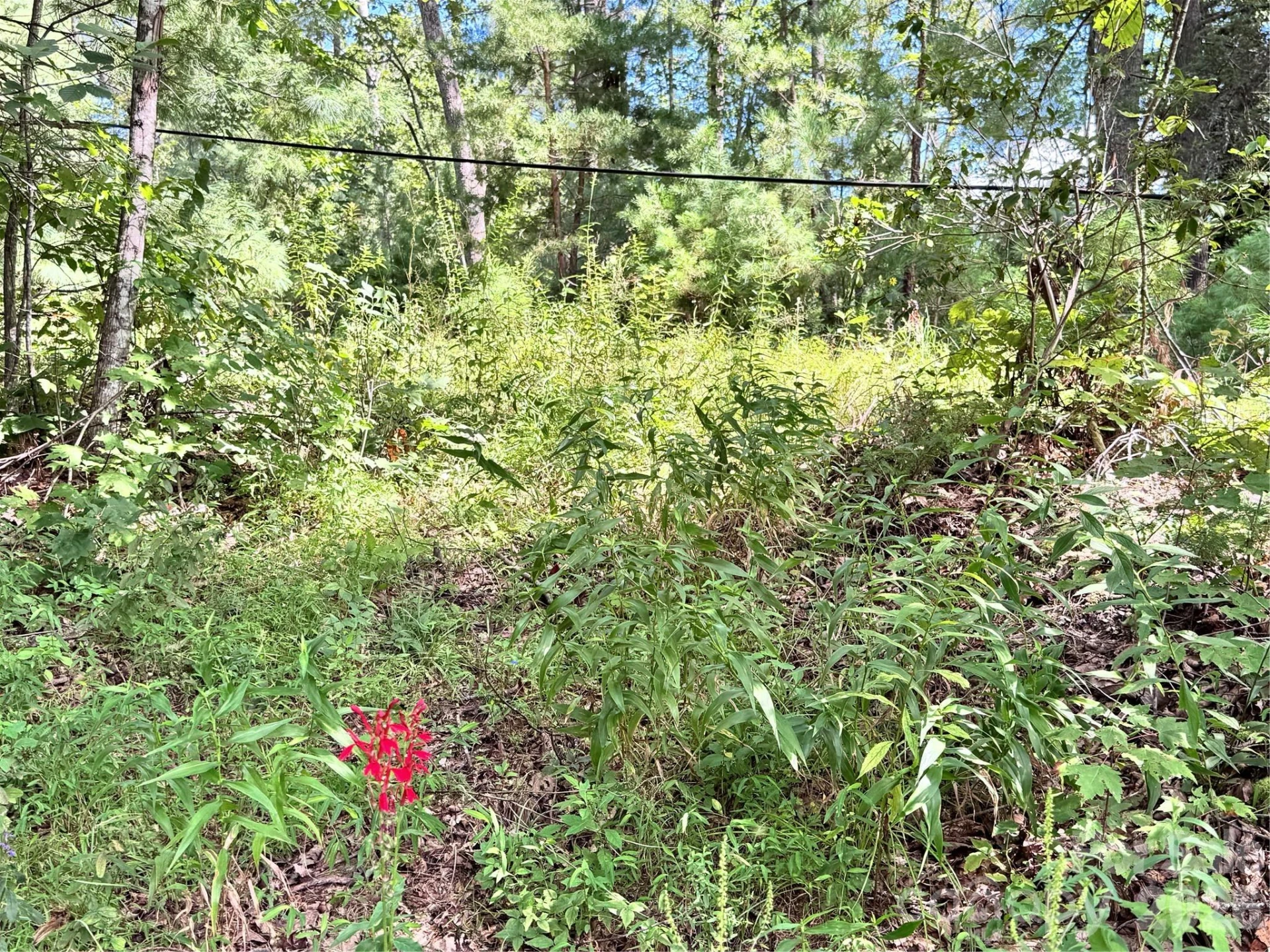 270 S Jarvis Drive - Photo 16
