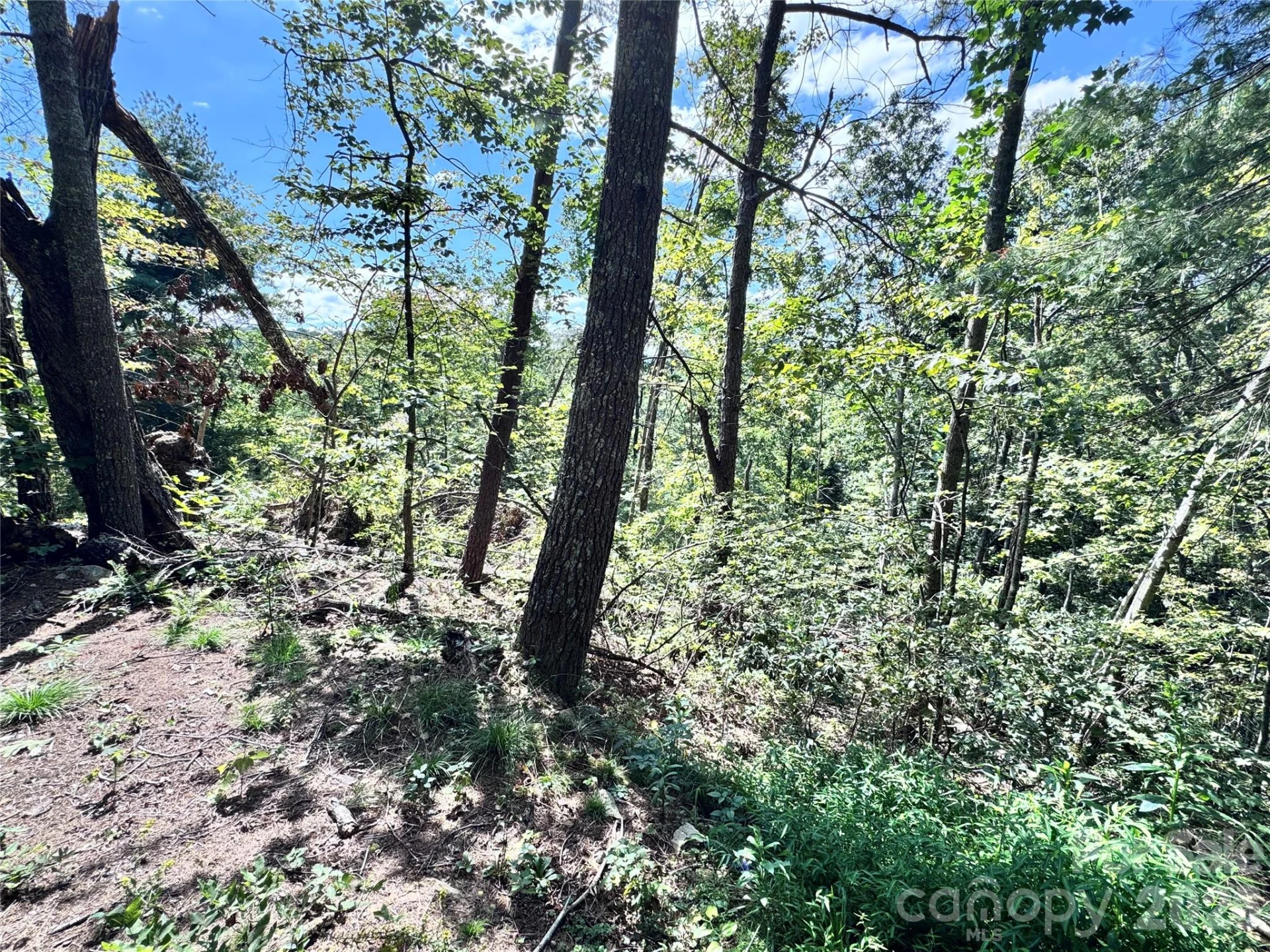 270 S Jarvis Drive - Photo 17