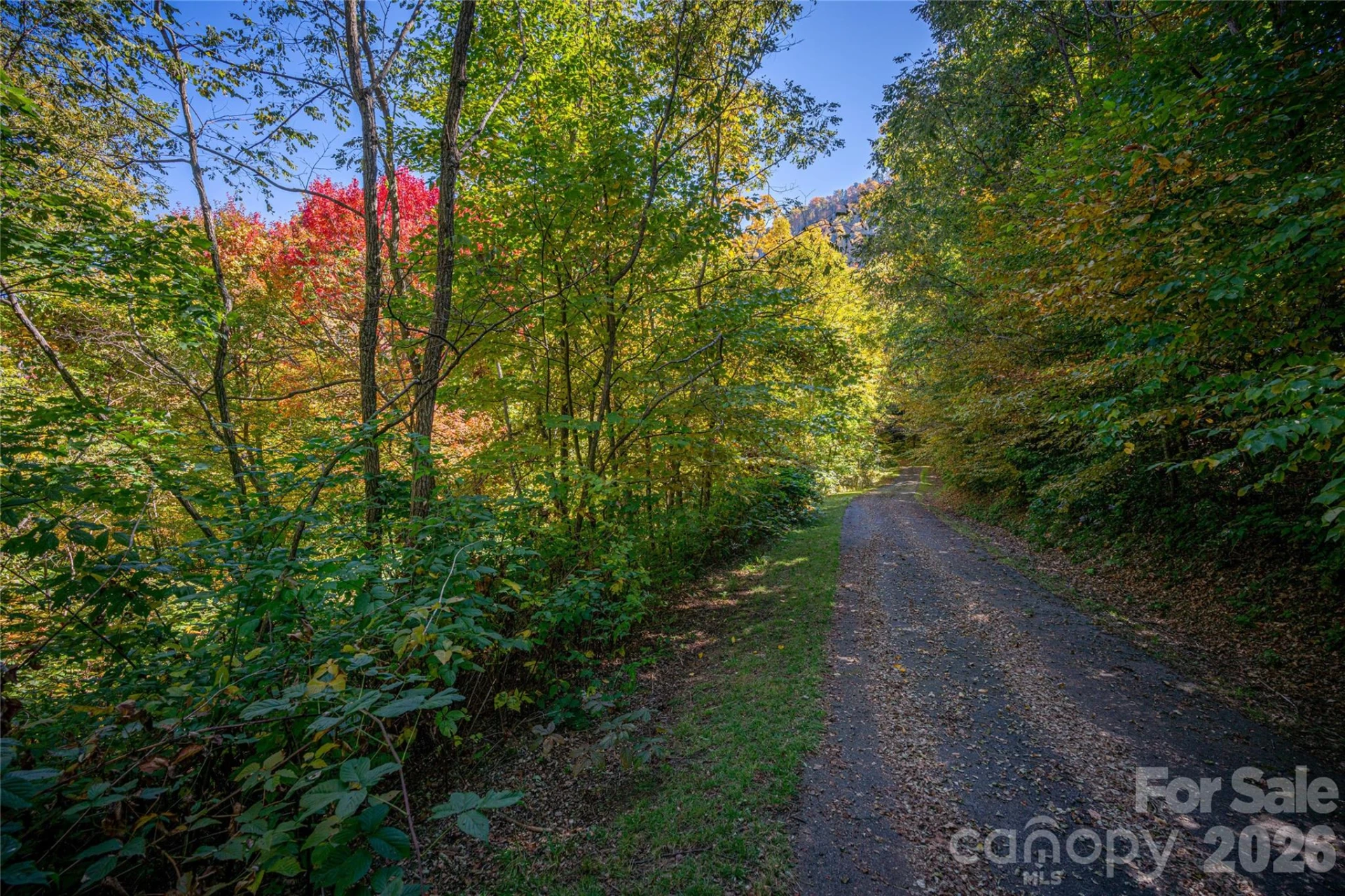 40 & 41 Falcon Crest Loop - Photo 3