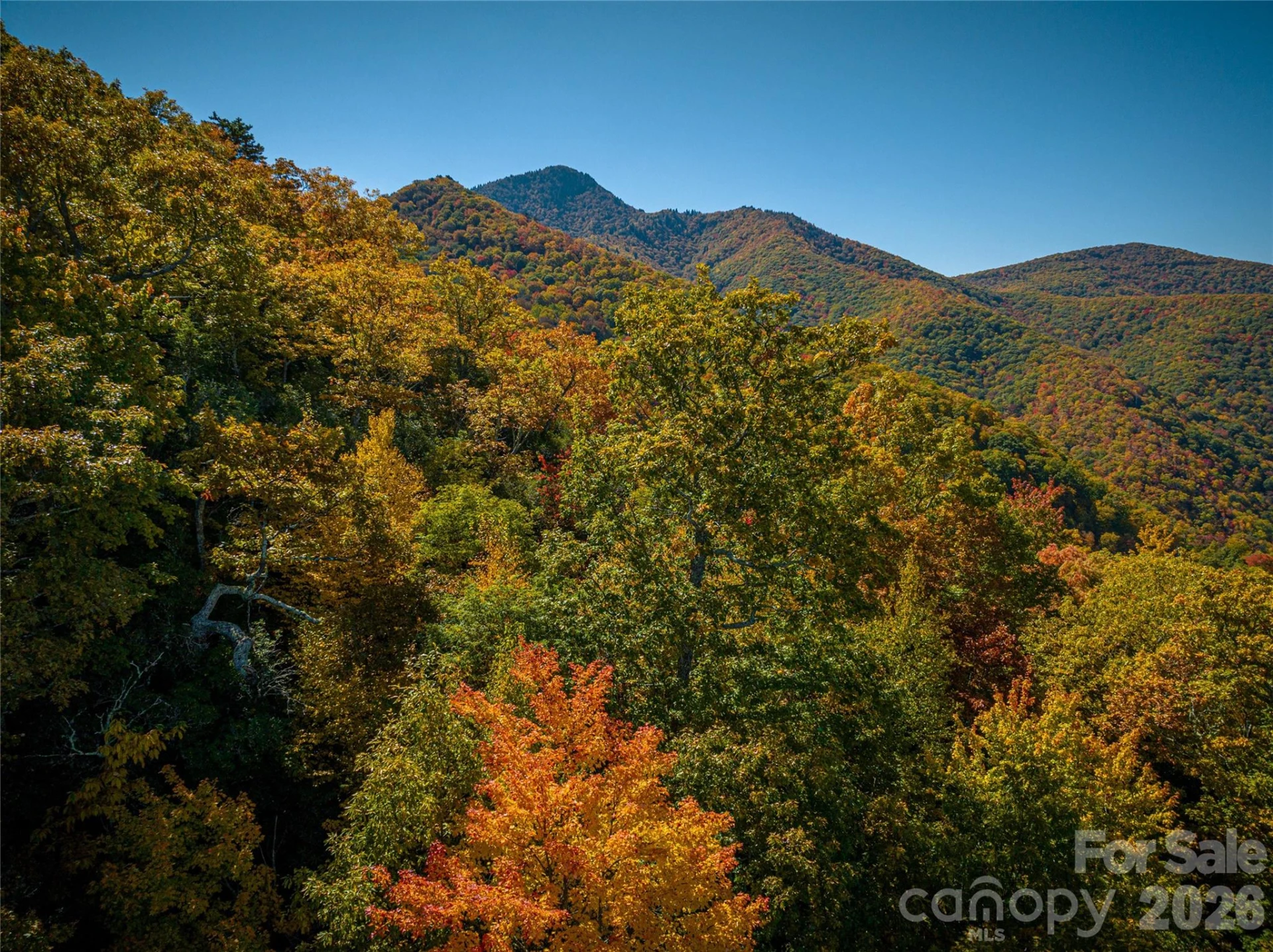 40 & 41 Falcon Crest Loop - Photo 4