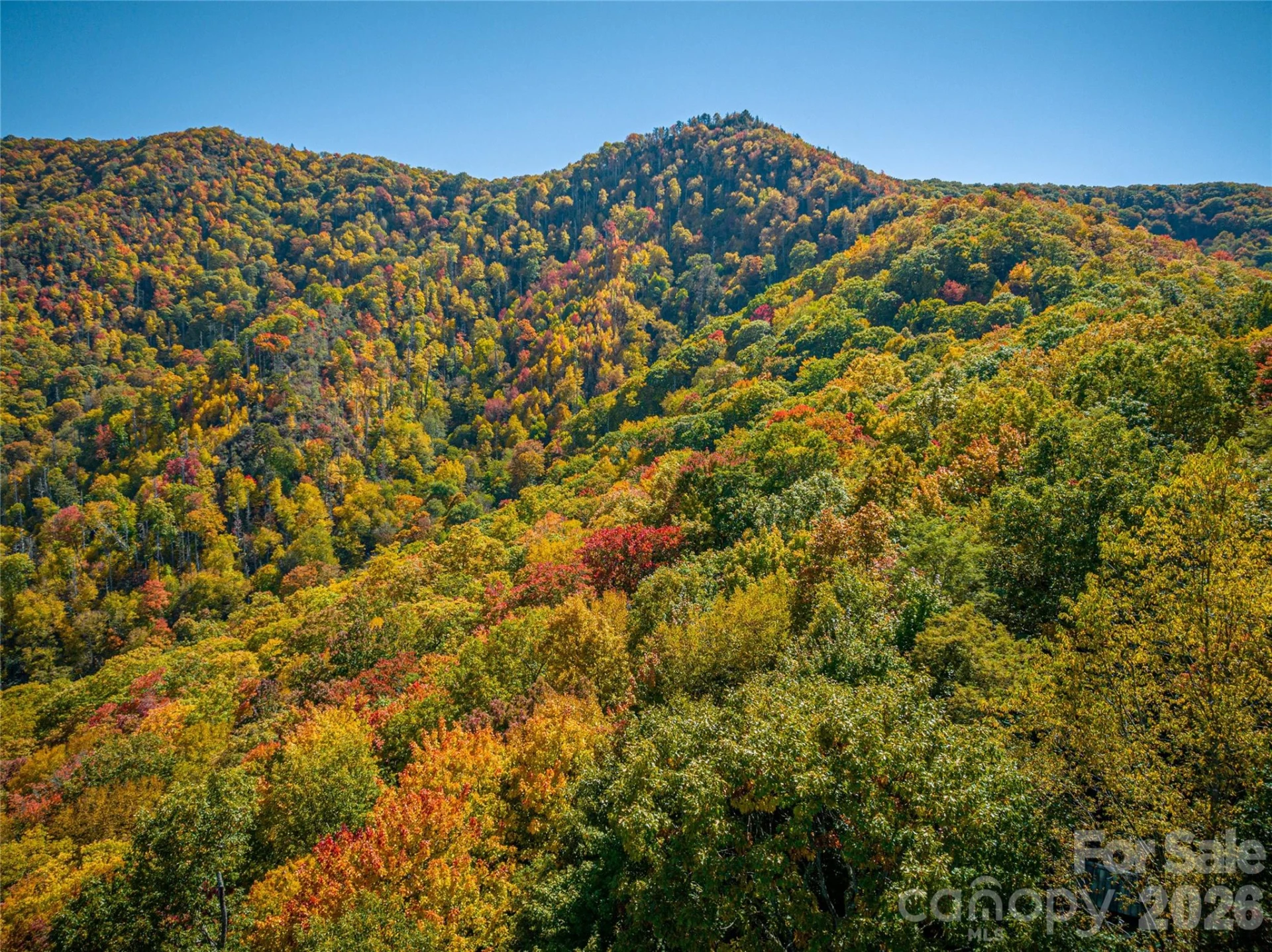 40 & 41 Falcon Crest Loop - Photo 7