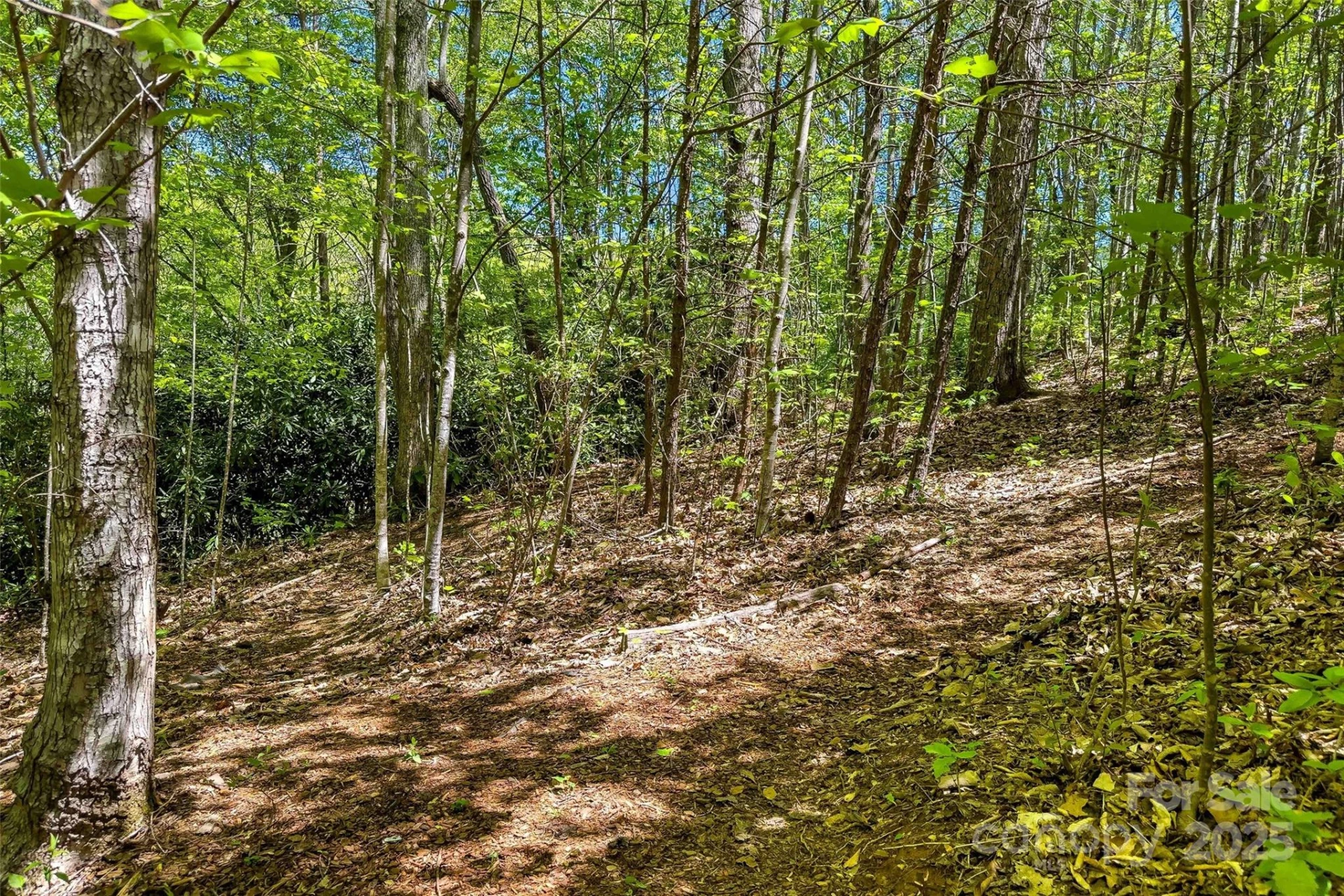 tbd Hunting Lodge Drive #9