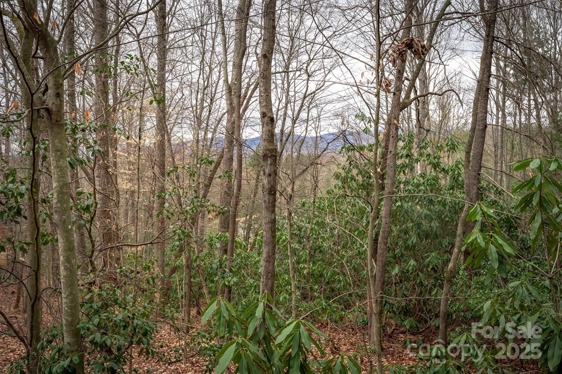 tbd Hunting Lodge Drive #9 - Photo 9