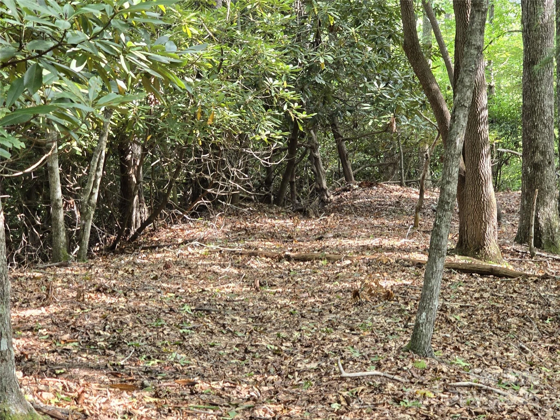 11 Reserve Road - Photo 14