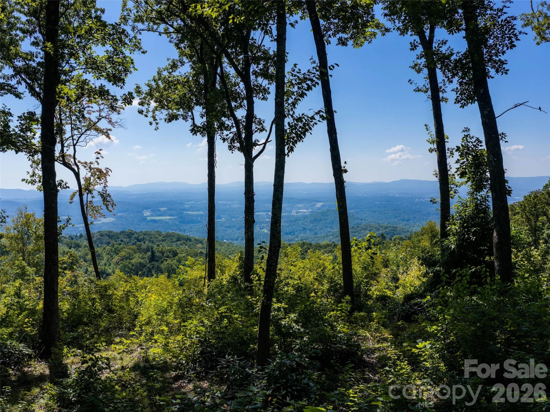 462 E Garden Trail #37 - Photo 3