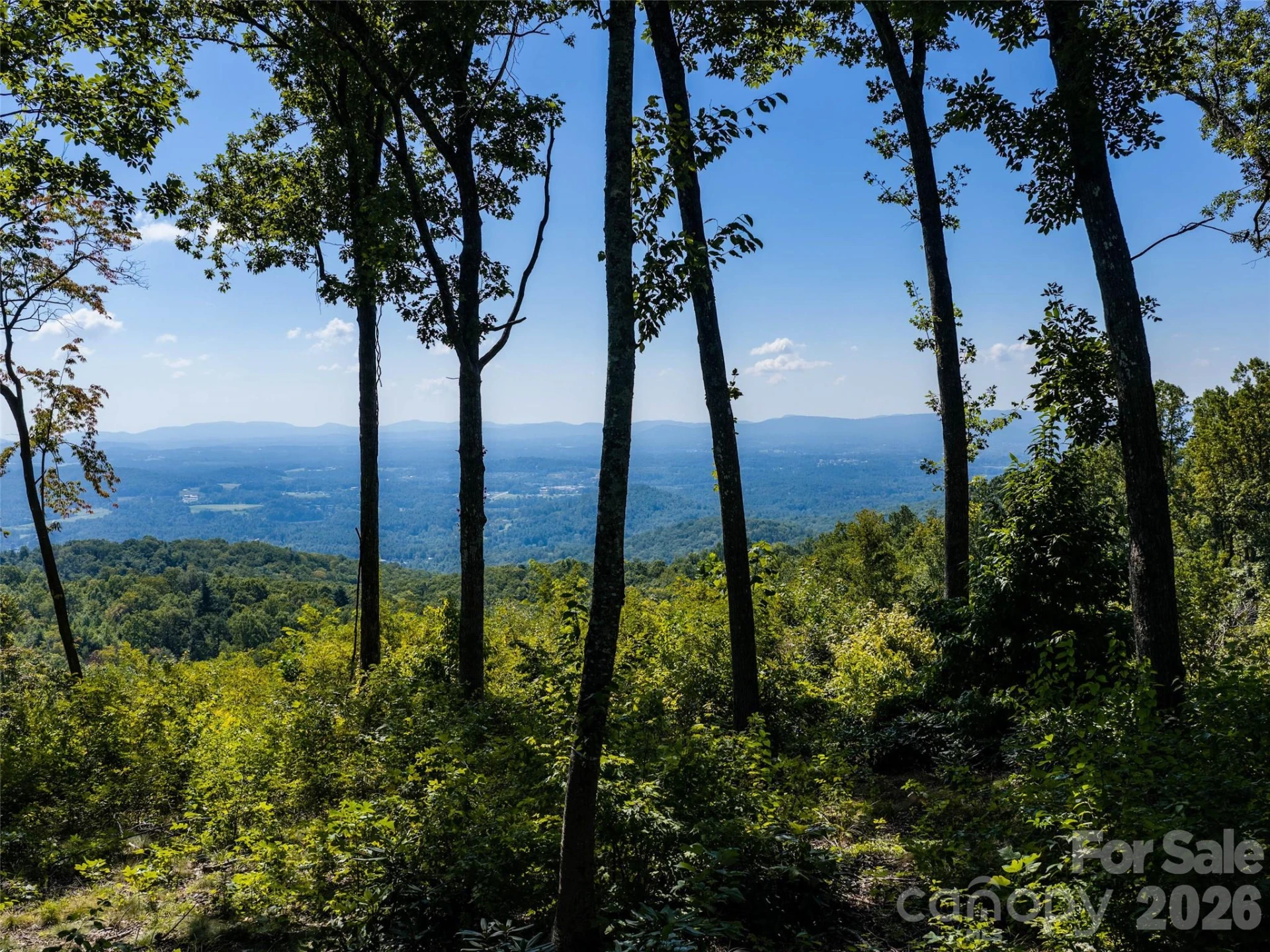 462 E Garden Trail #37 - Photo 4