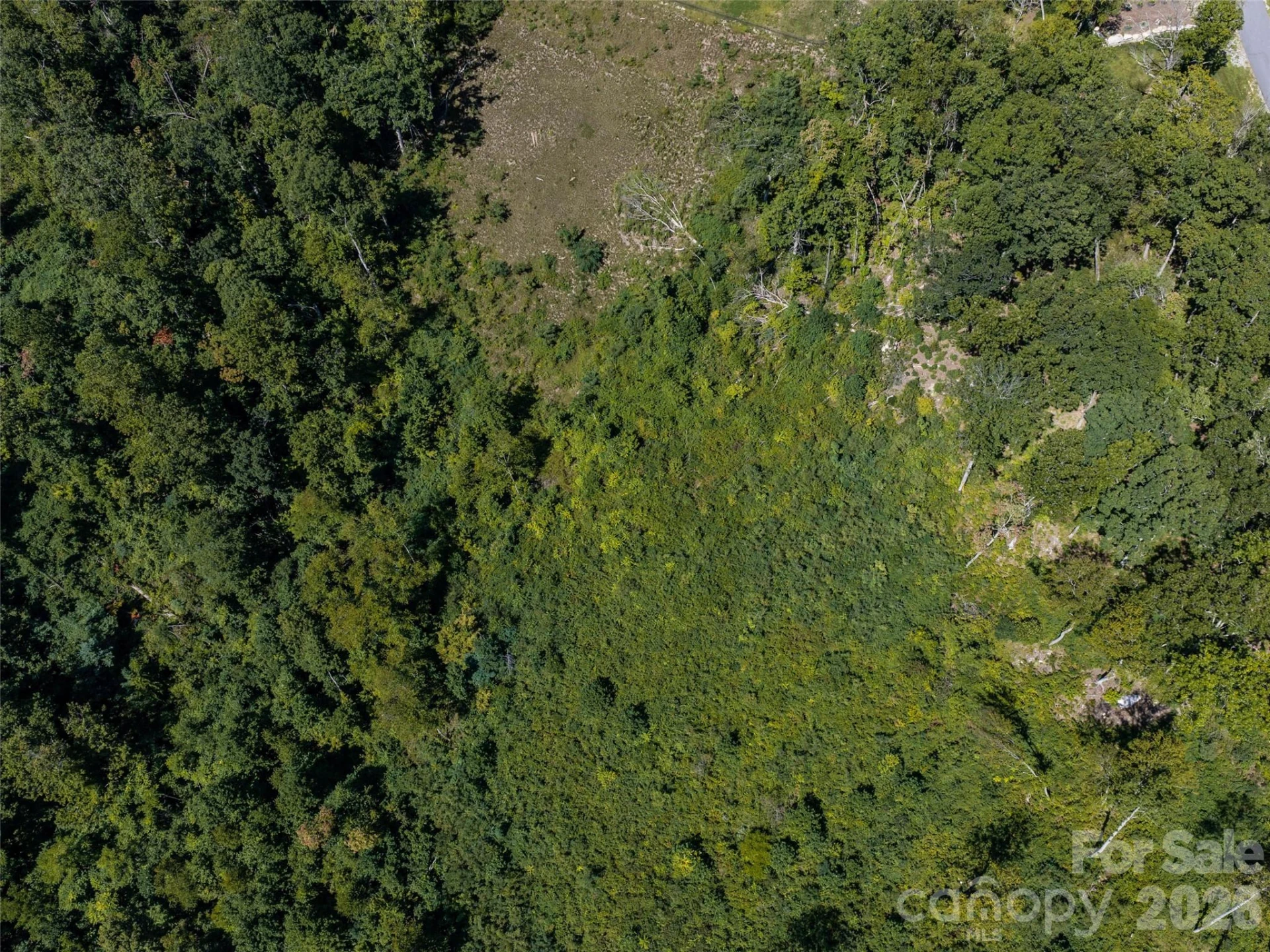 462 E Garden Trail #37 - Photo 7