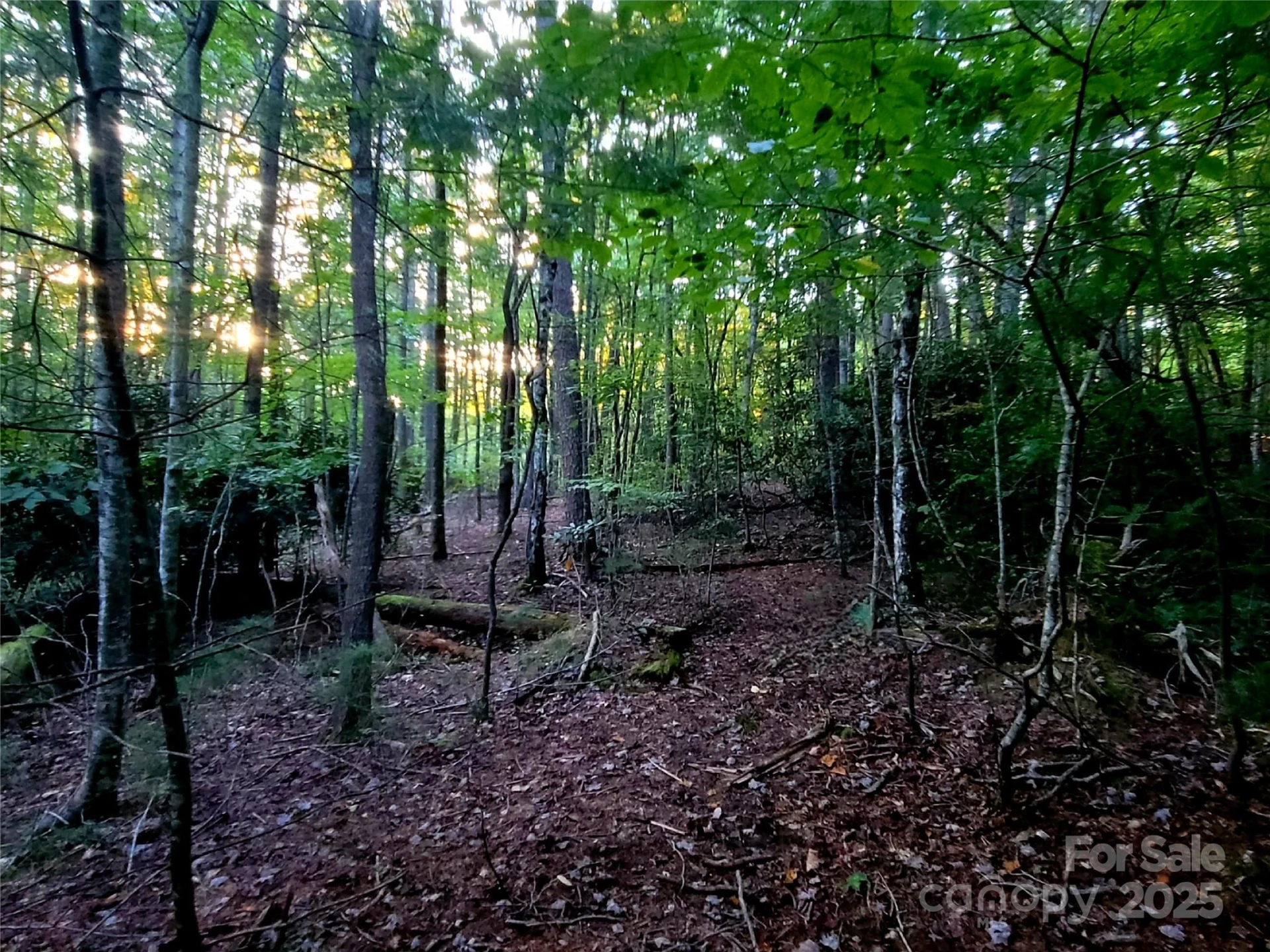 0 Joyful Lane - Photo 9