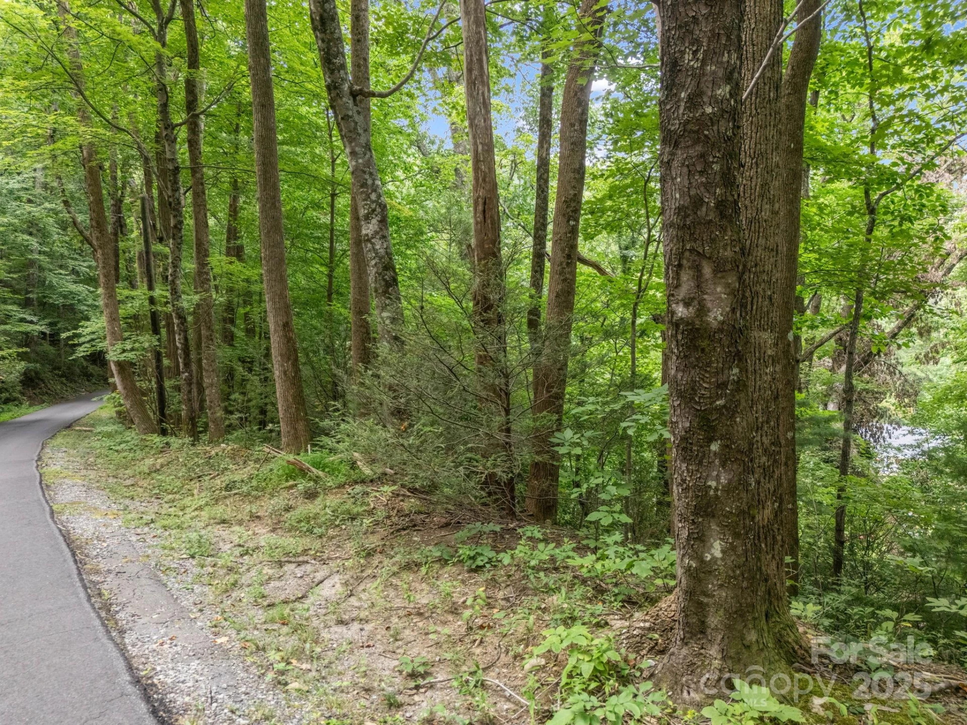 00 Mistletoe Park - Photo 3