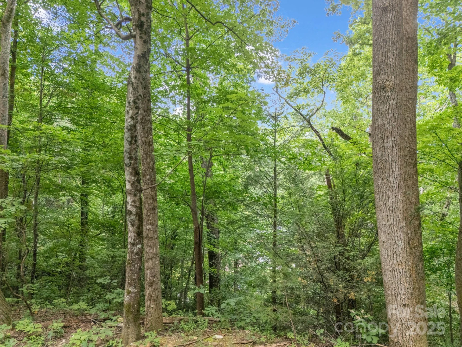 00 Mistletoe Park - Photo 11