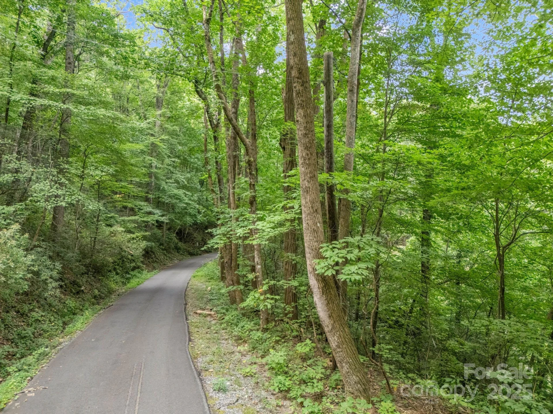 00 Mistletoe Park - Photo 12