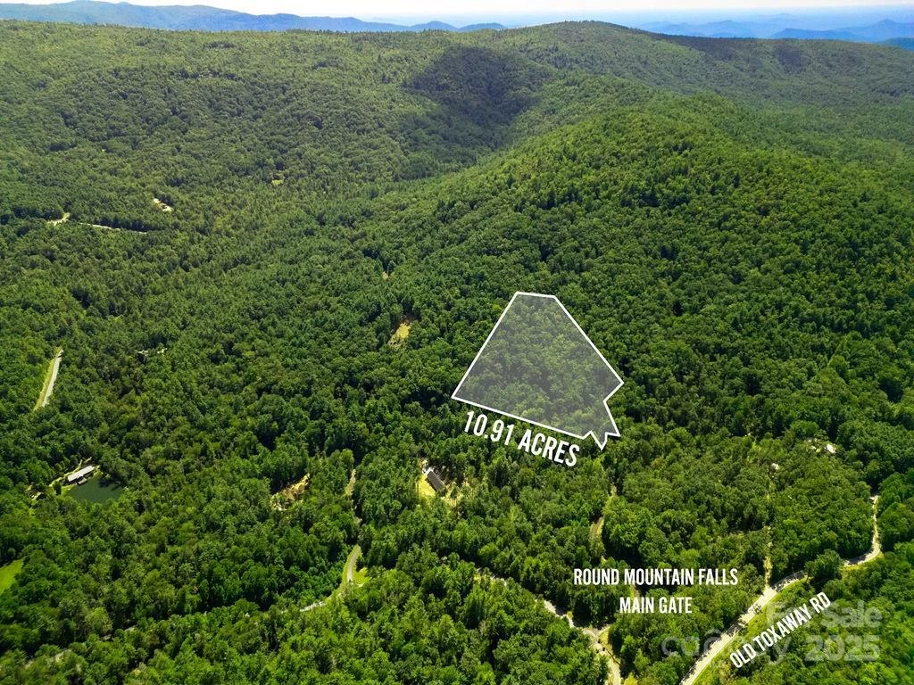 Lot 11 Silver Maple Trail - Photo 2