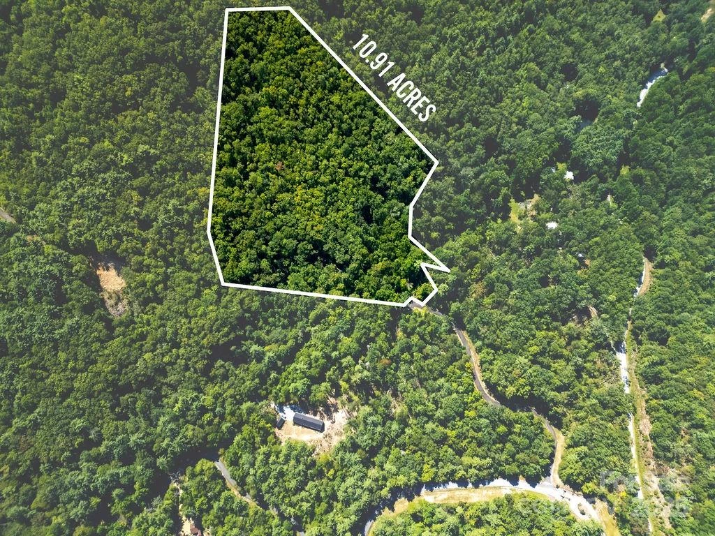 Lot 11 Silver Maple Trail - Photo 4