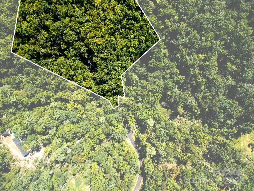 Lot 11 Silver Maple Trail - Photo 8