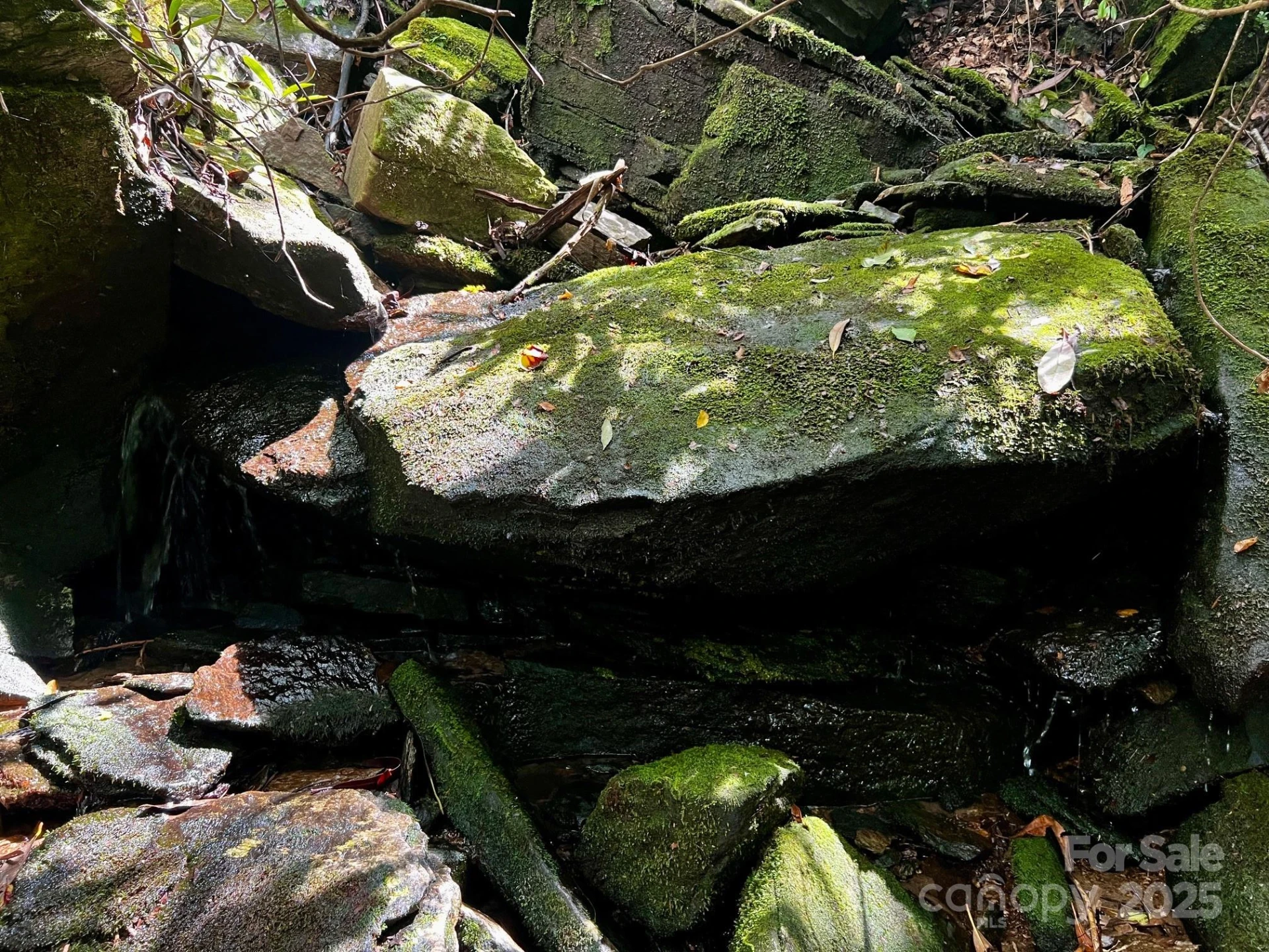 Lot 11 Silver Maple Trail - Photo 9