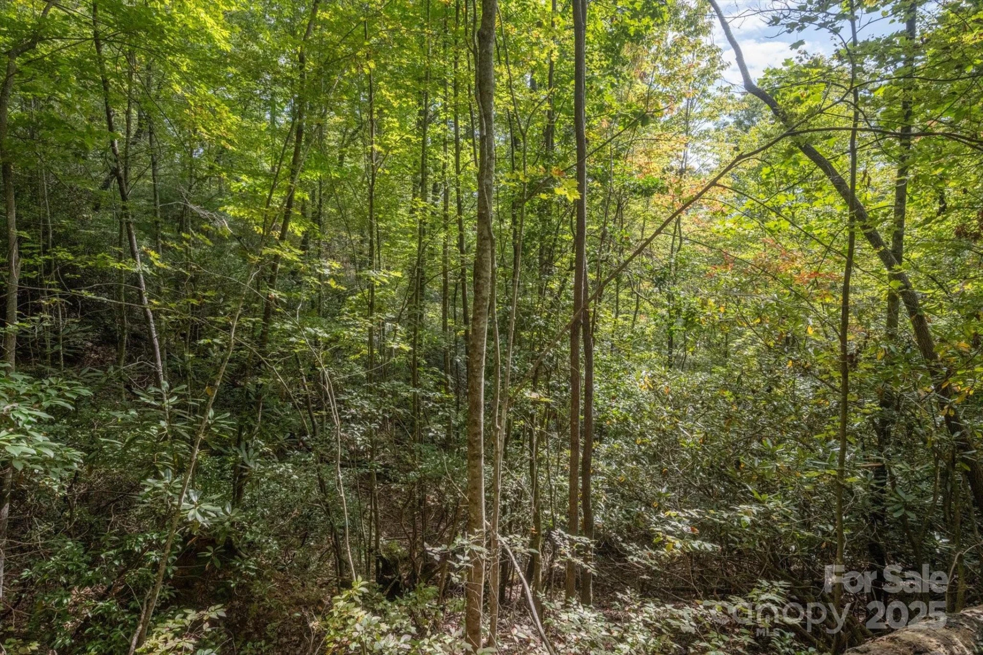 TBD Pine Mountain Trail #M79 - Photo 4