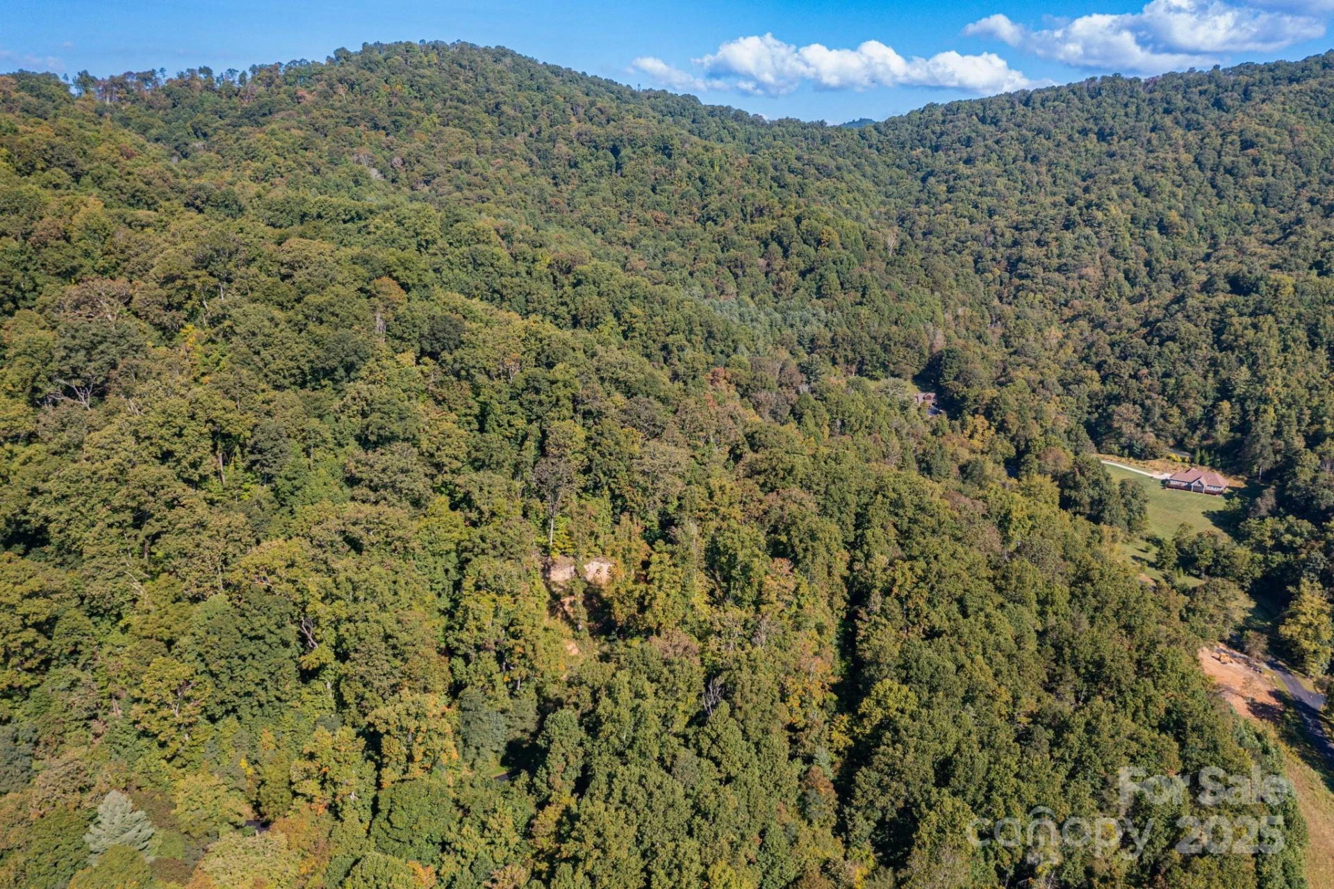 300 Running Deer Lane #70 - Photo 3