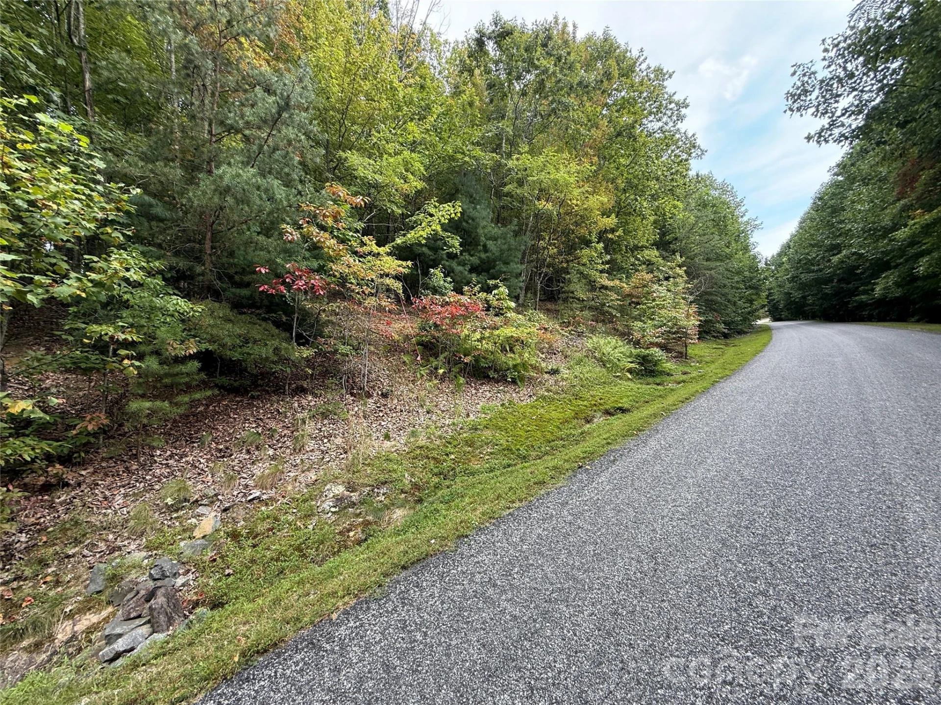 1029 Chippawa Drive #67 - Photo 4