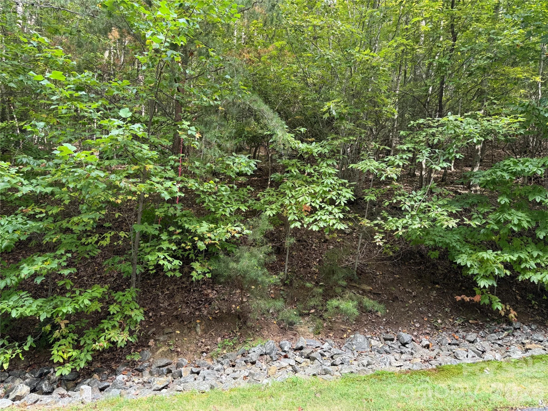 1029 Chippawa Drive #67 - Photo 5