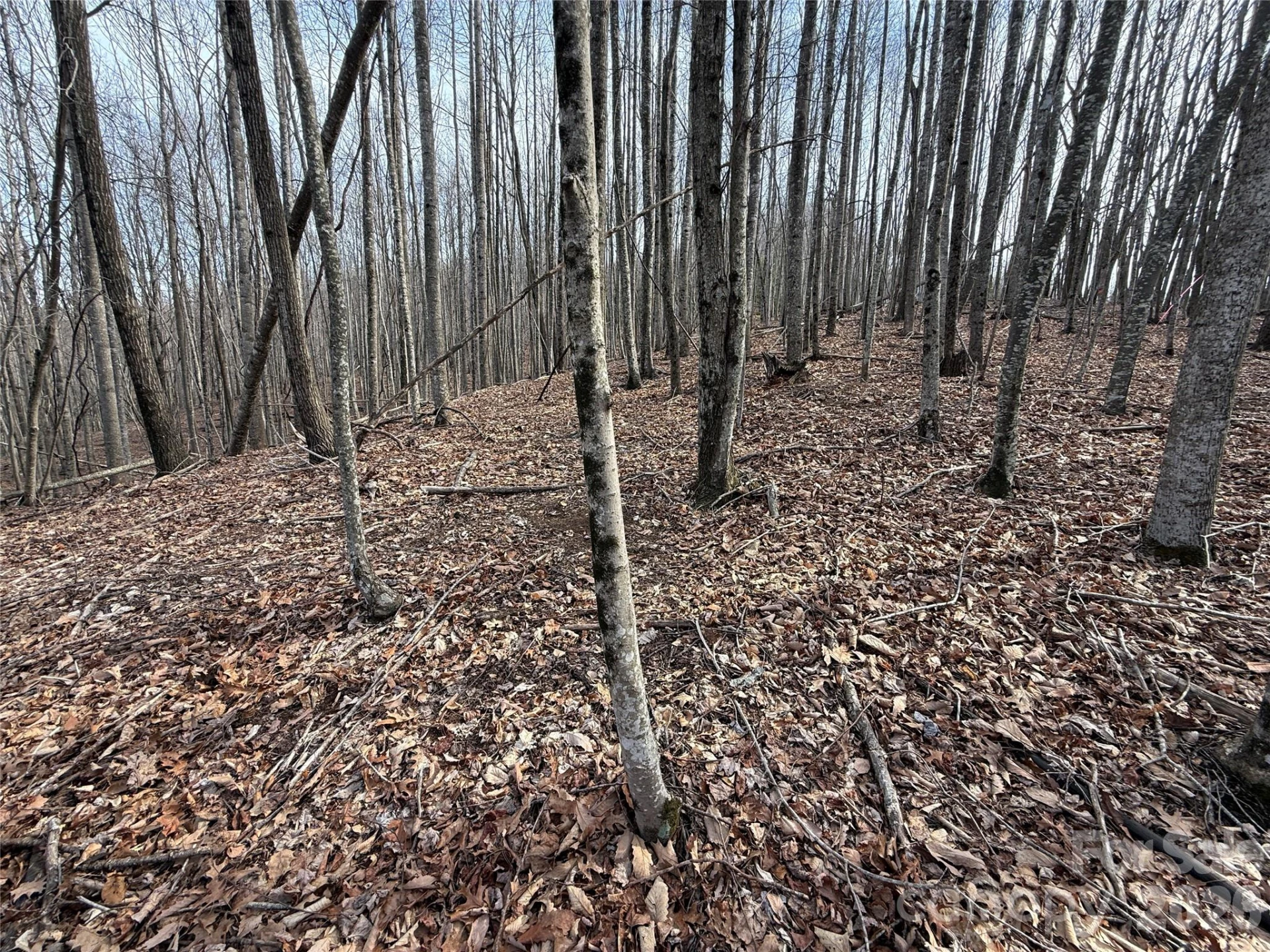 1029 Chippawa Drive #67 - Photo 7