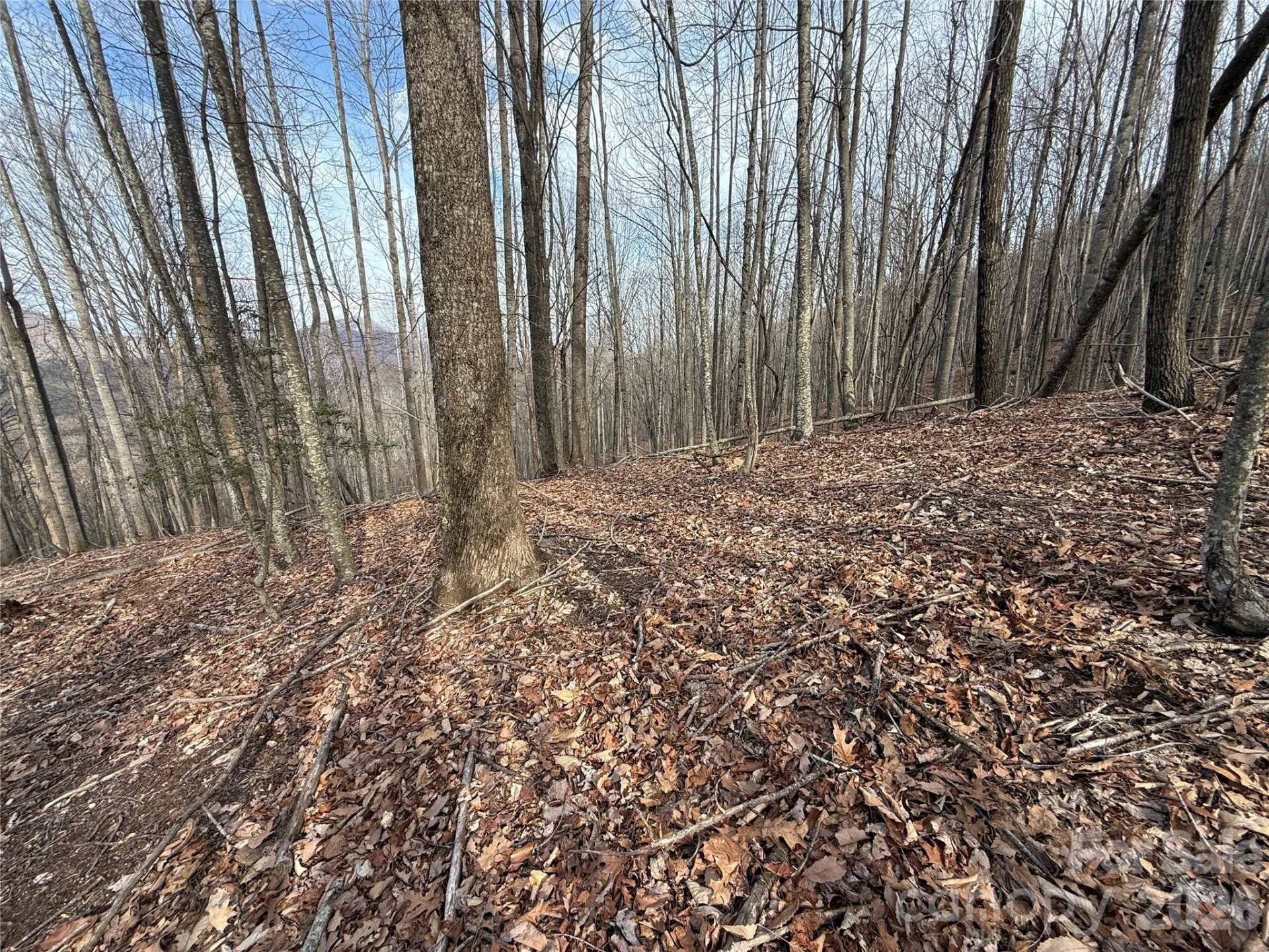 1029 Chippawa Drive #67 - Photo 8