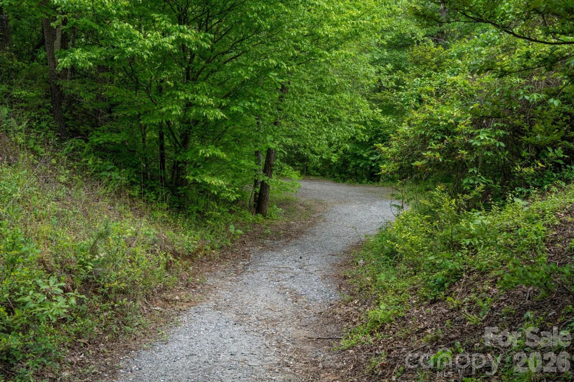 1015 Rainbow Circle #36 - Photo 20