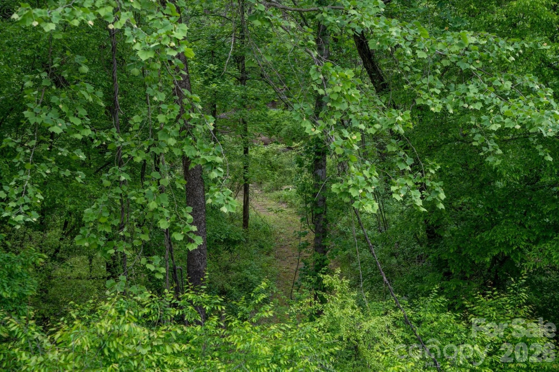 1015 Rainbow Circle #36 - Photo 31