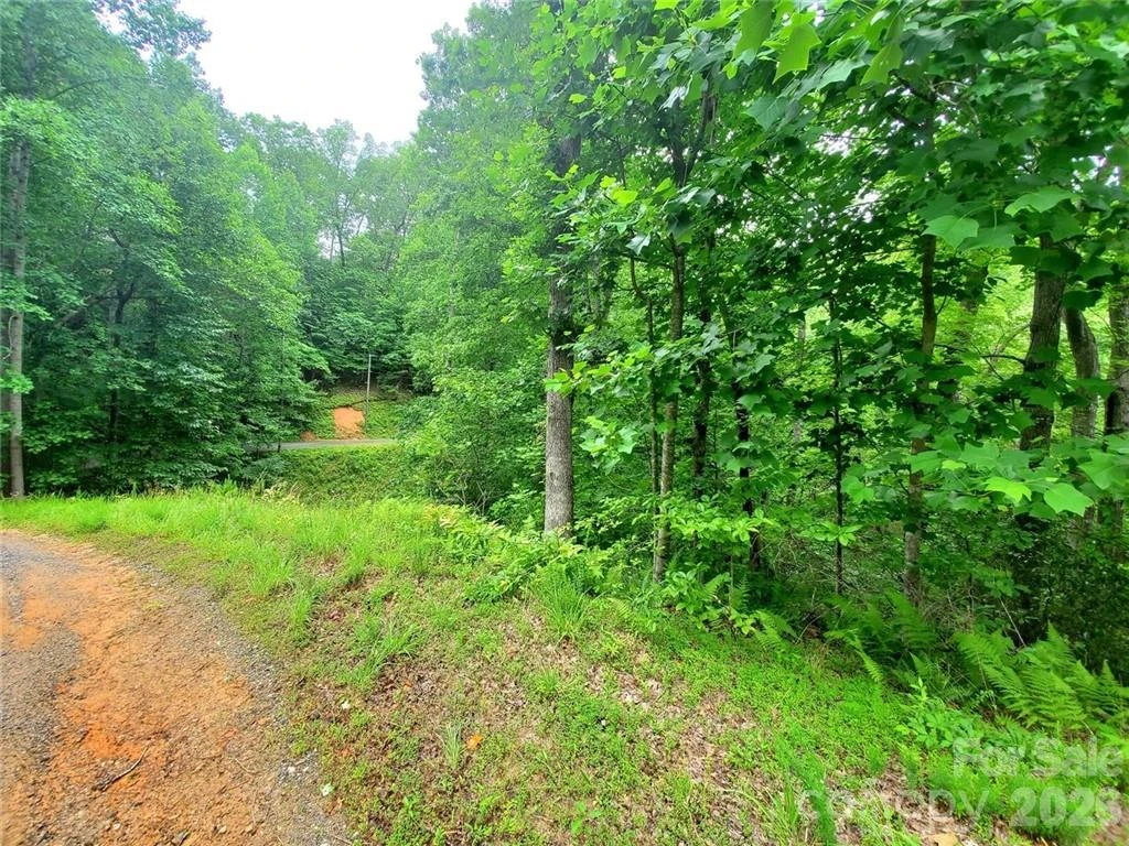 1015 Rainbow Circle #36 - Photo 32
