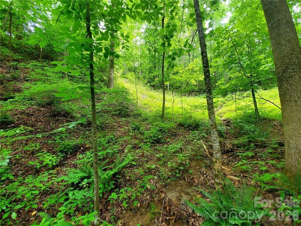 1015 Rainbow Circle #36 - Photo 35