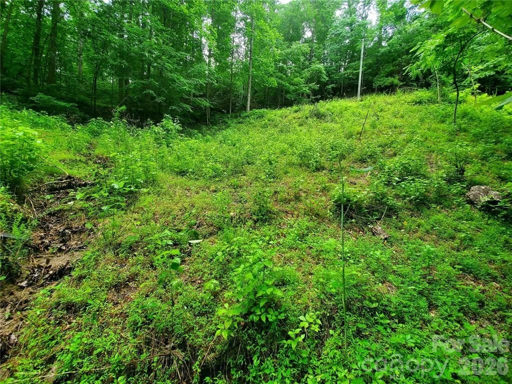 1015 Rainbow Circle #36 - Photo 37