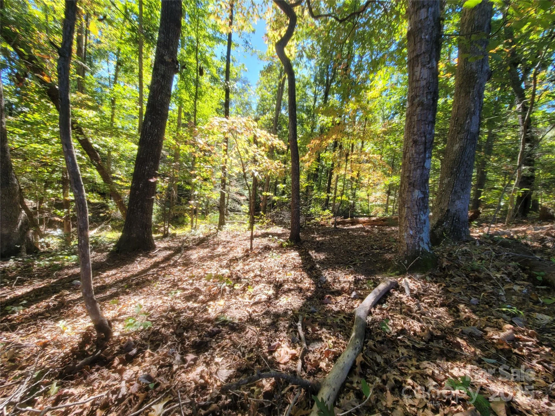 0 Horse Creek Drive #14 - Photo 7