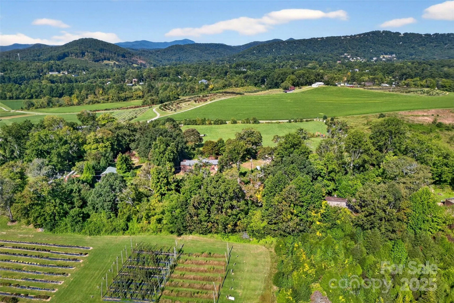 467 Butler Farm Road - Photo 7