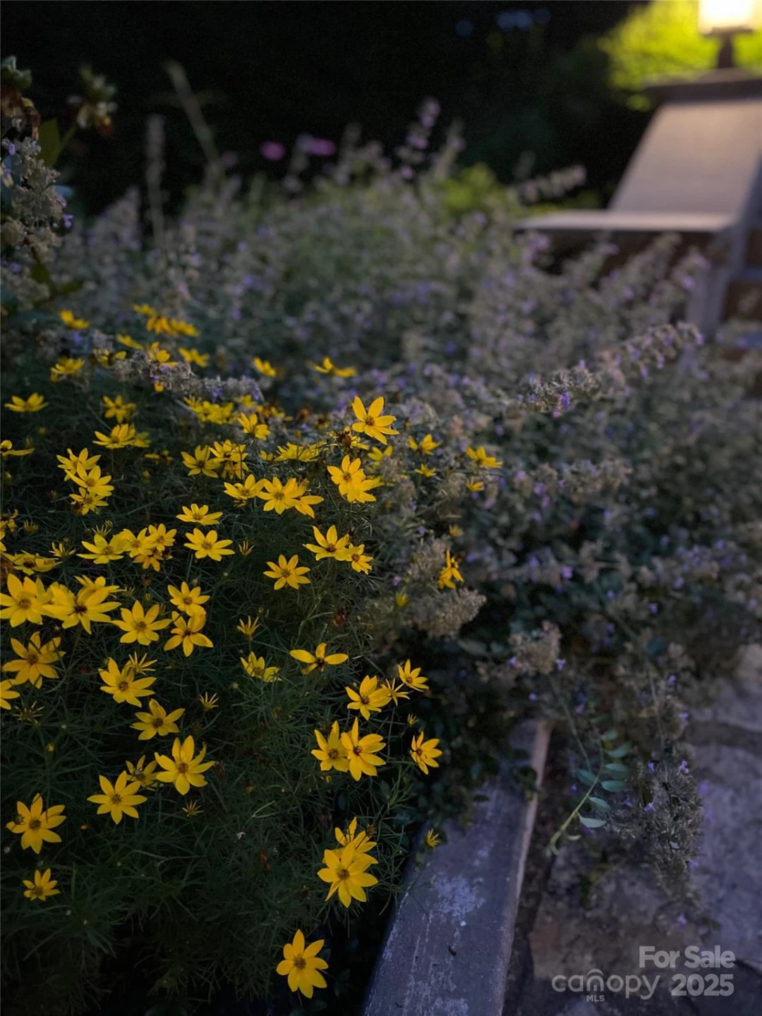 5 Busbee Road - Photo 47