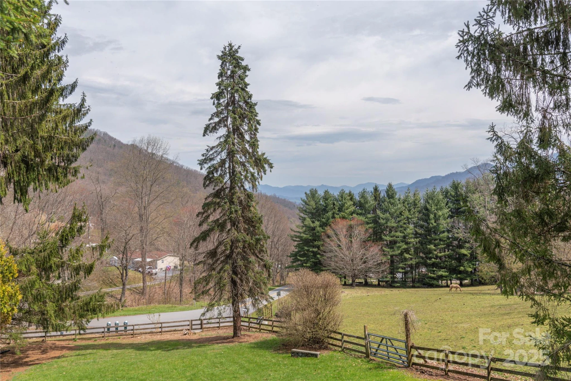 55 Grove Park - Photo 21