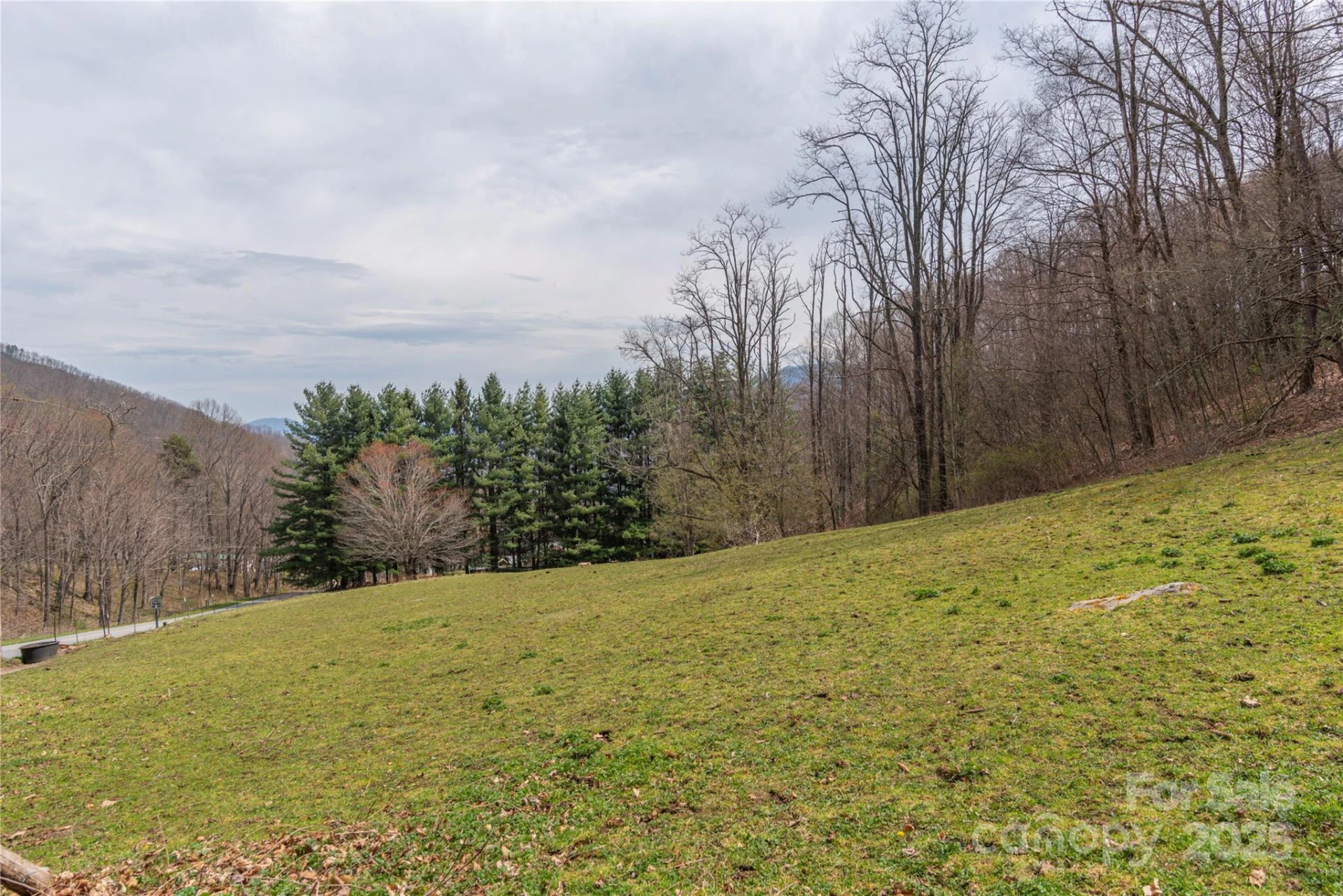 55 Grove Park - Photo 23