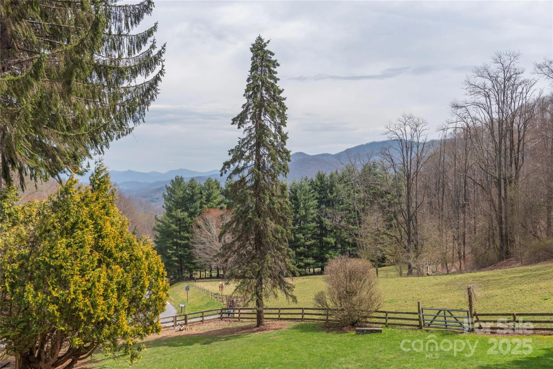 55 Grove Park - Photo 28