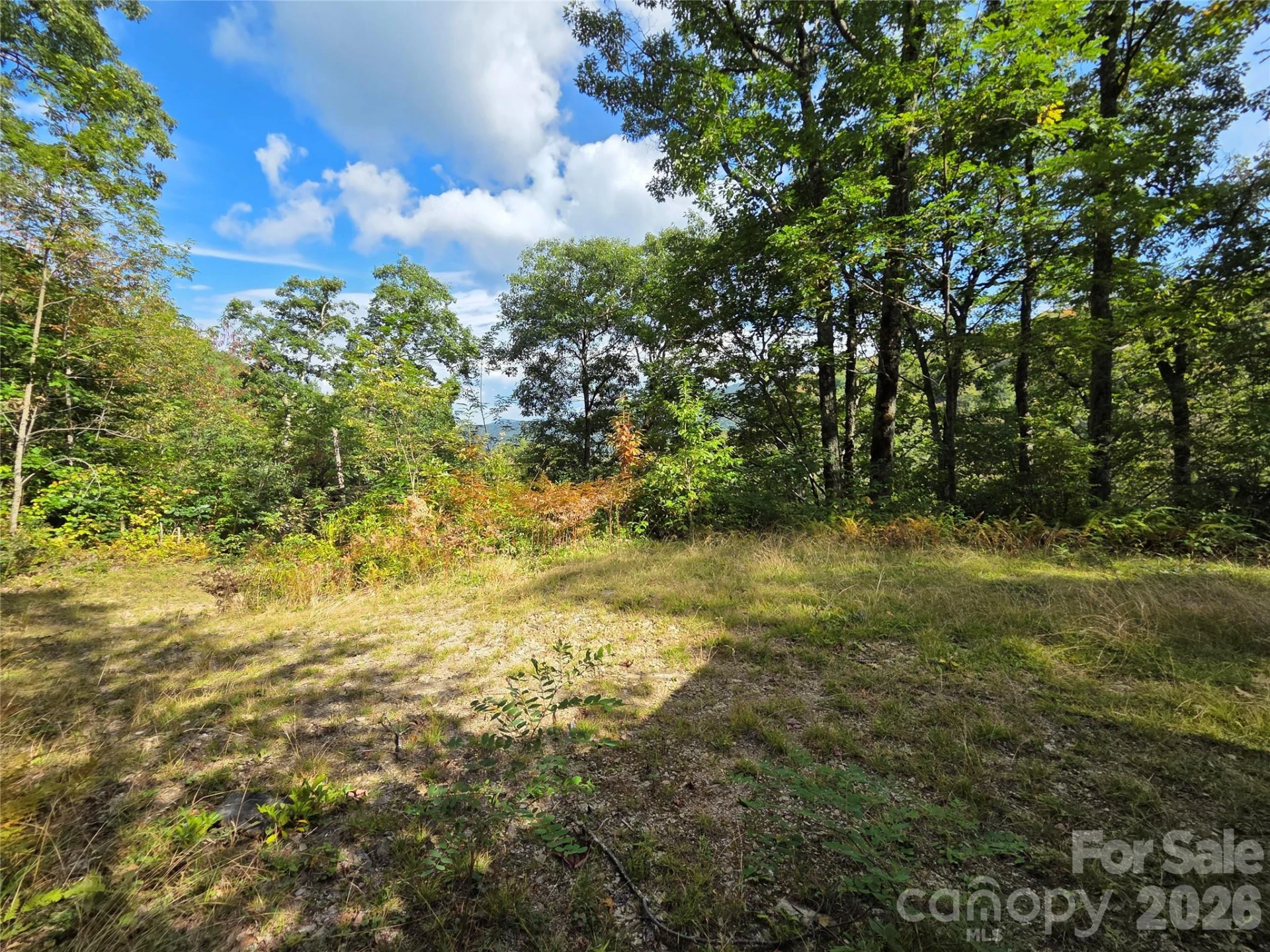 720 Autumn Drive - Photo 3