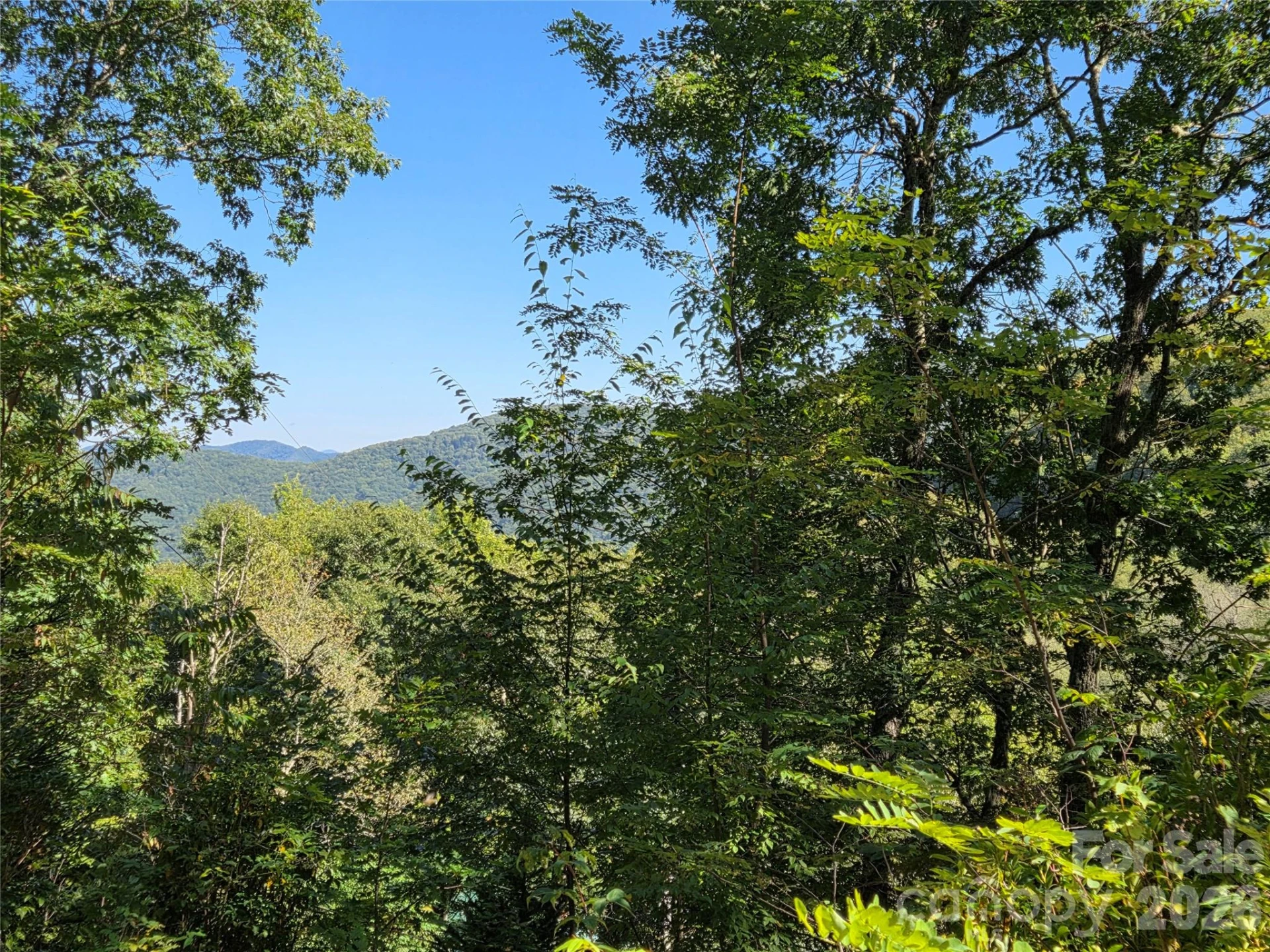 720 Autumn Drive - Photo 24