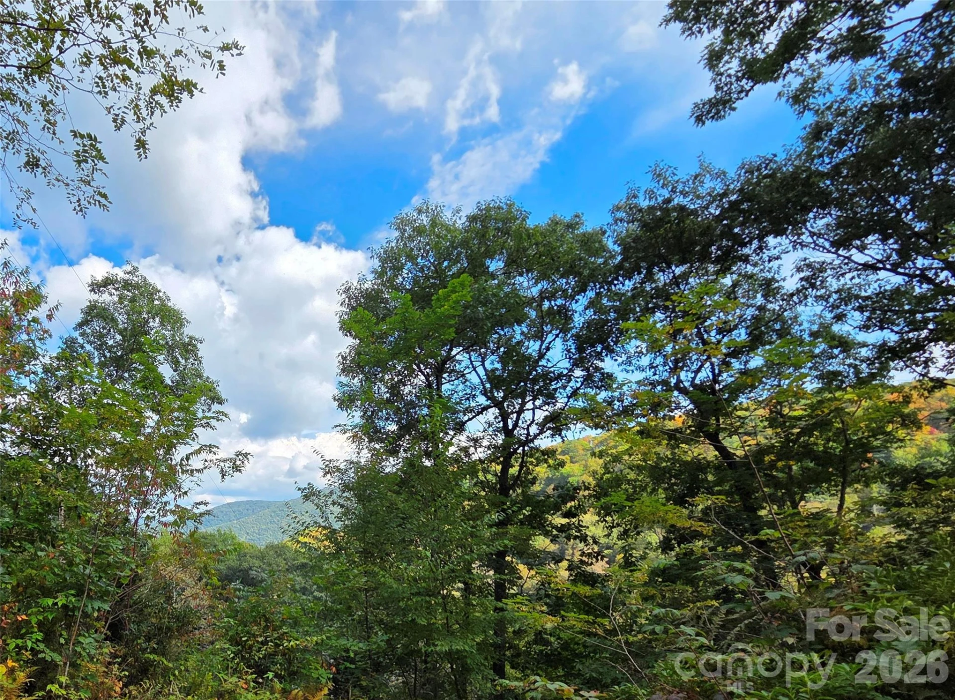 720 Autumn Drive - Photo 5