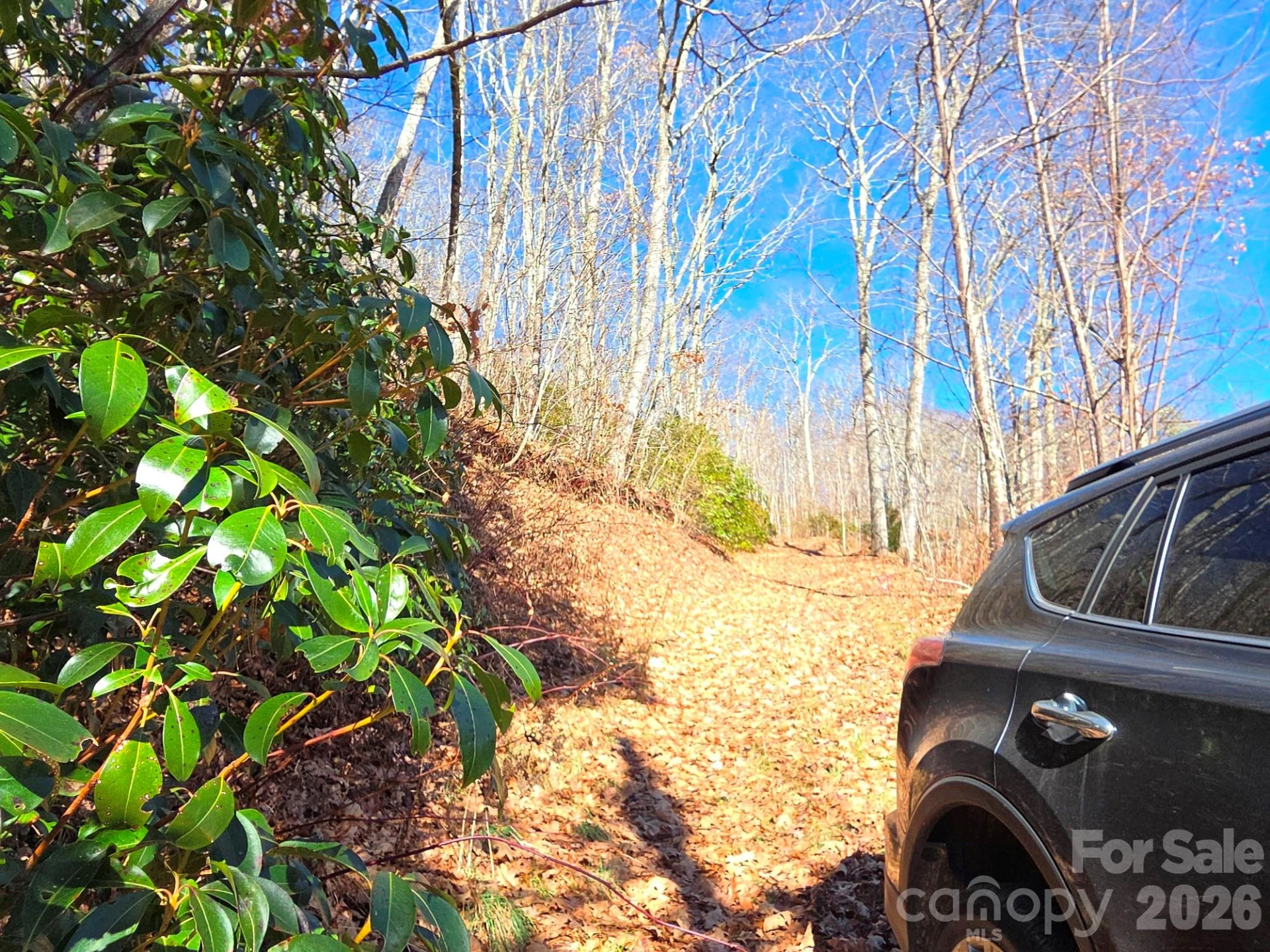 720 Autumn Drive - Photo 7