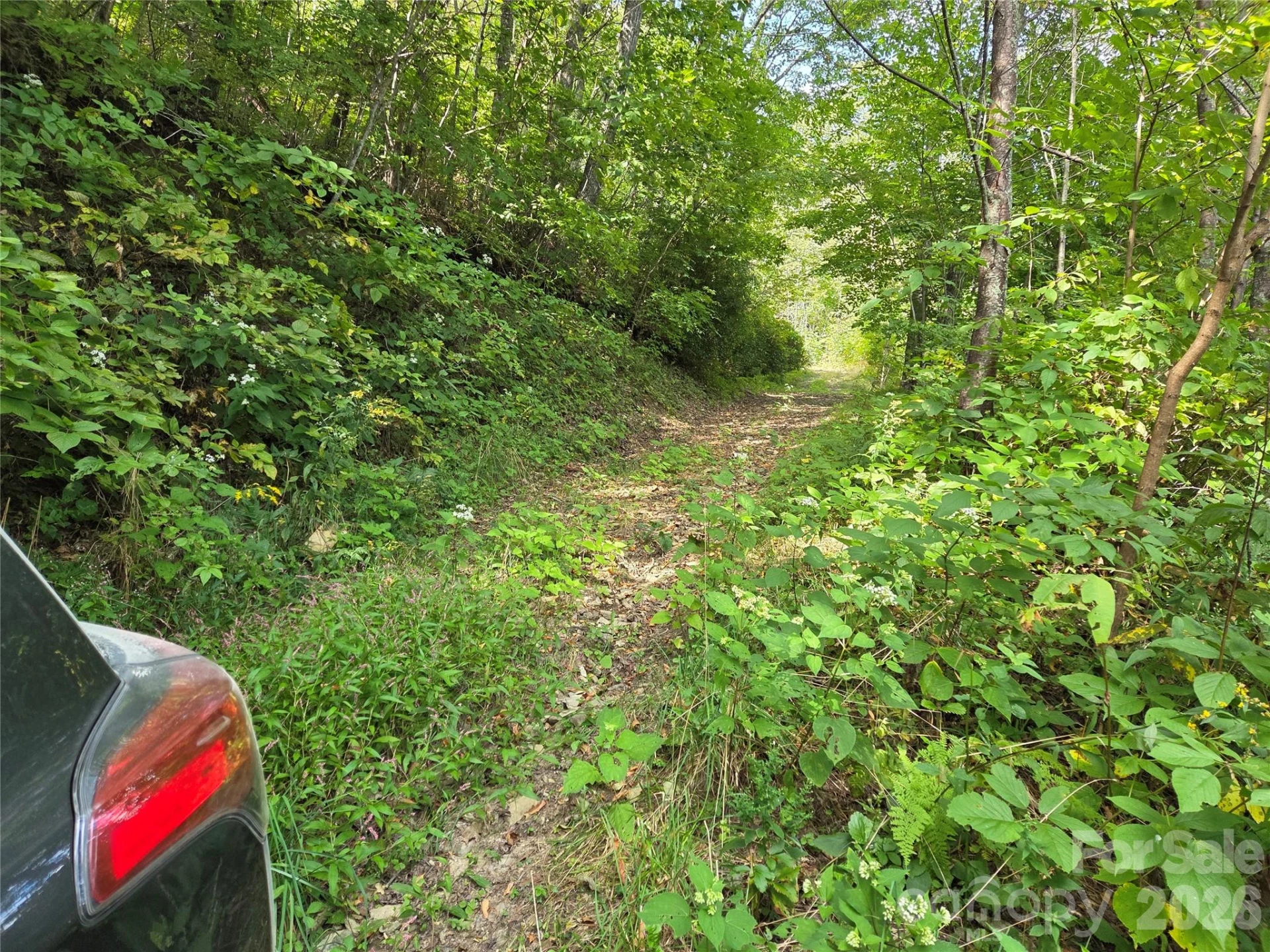 720 Autumn Drive - Photo 8
