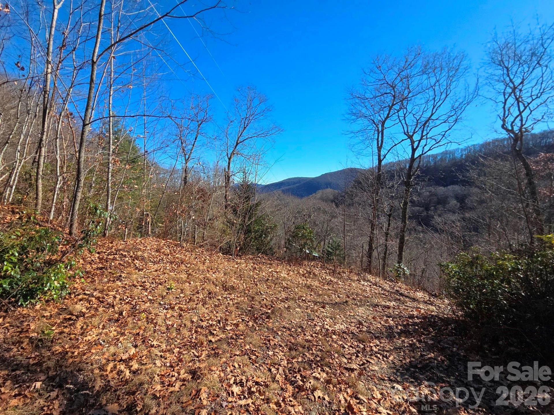 720 Autumn Drive - Photo 9