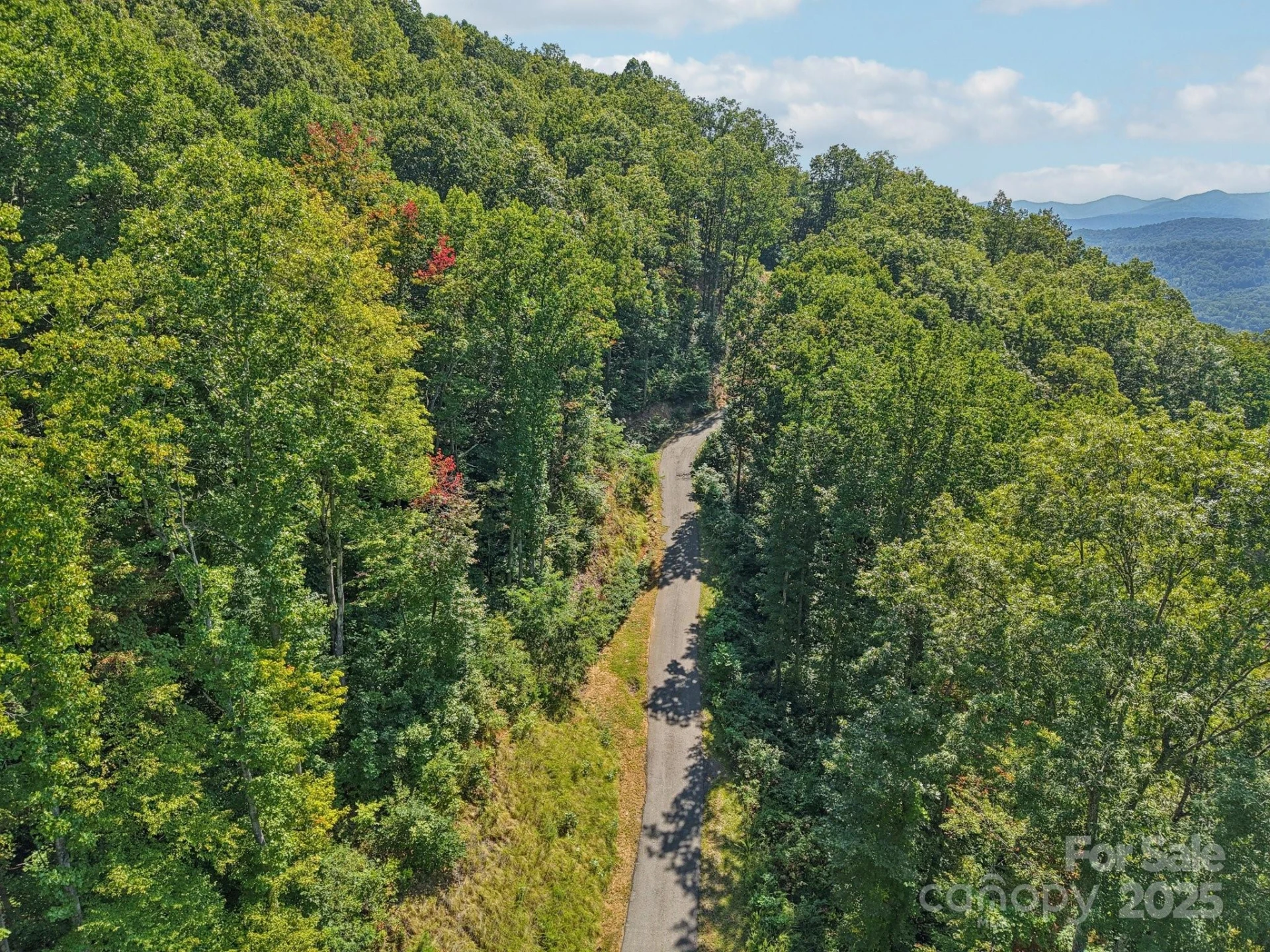 000 Biltmore View Drive #10 - Photo 11