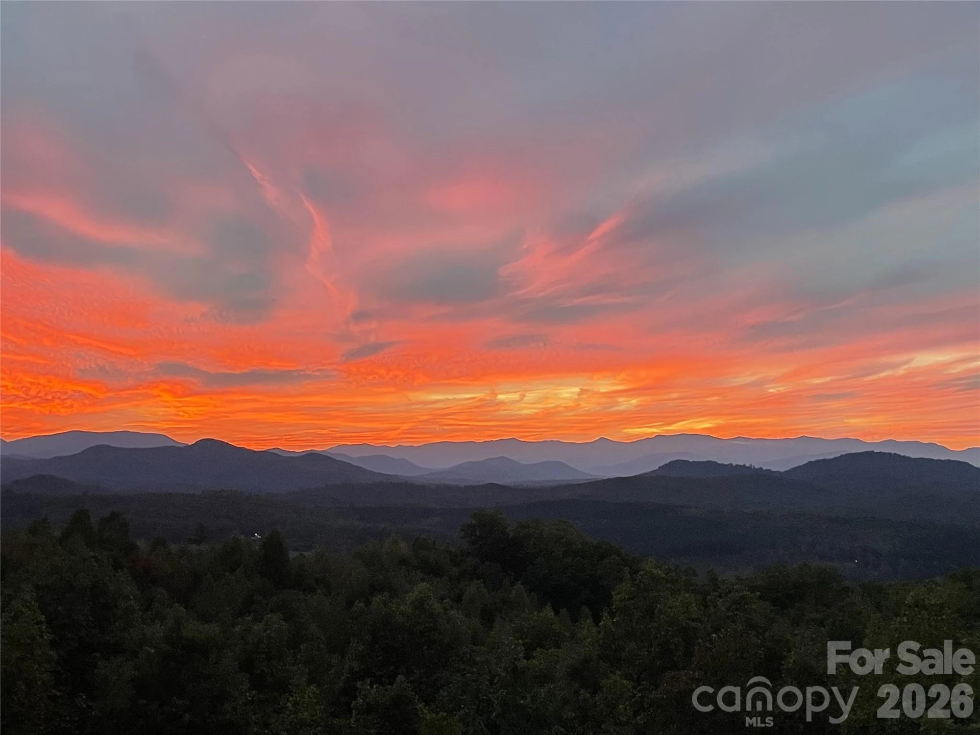 334 Scenic Vista Drive - Photo 44