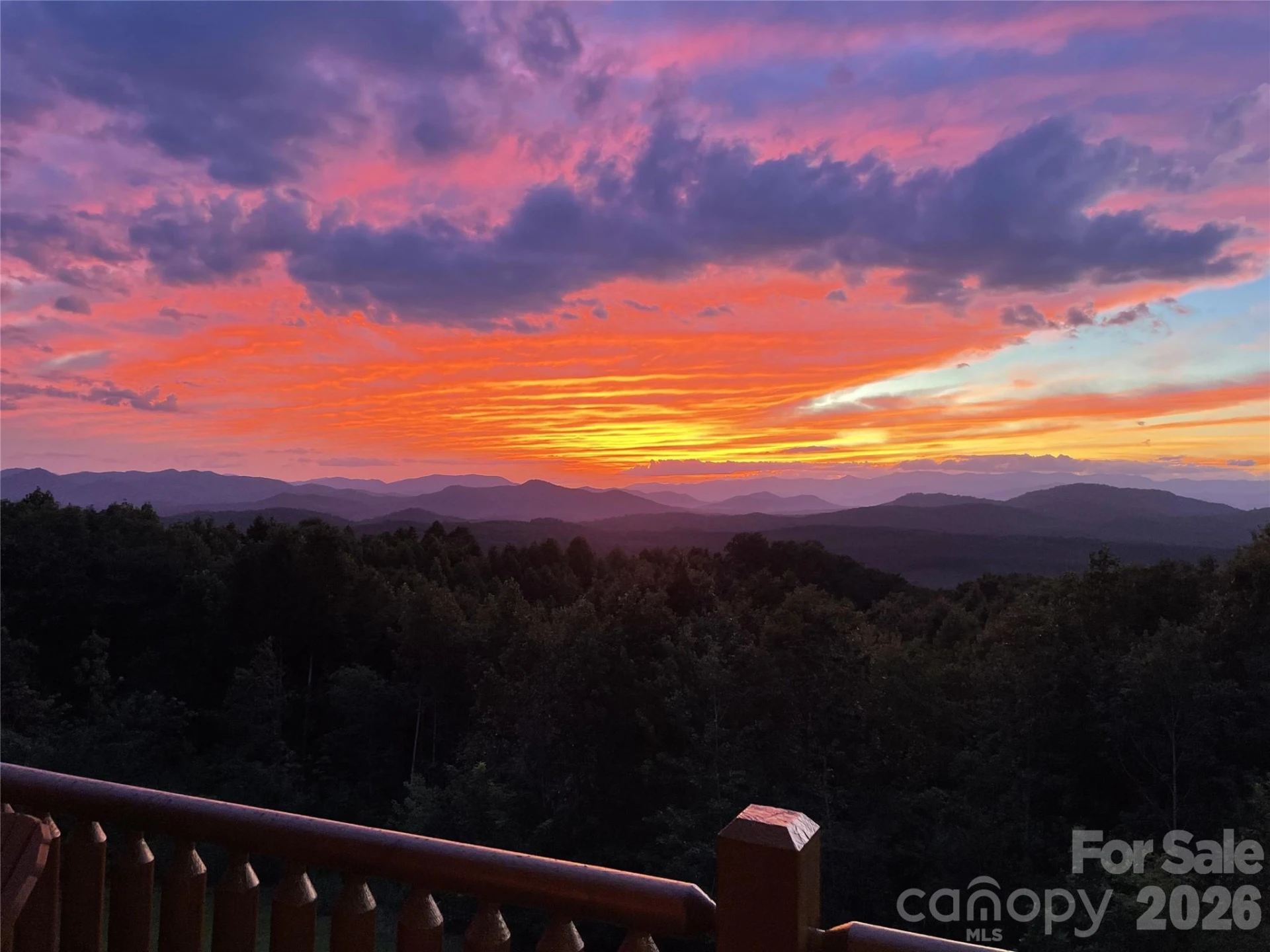 334 Scenic Vista Drive - Photo 6