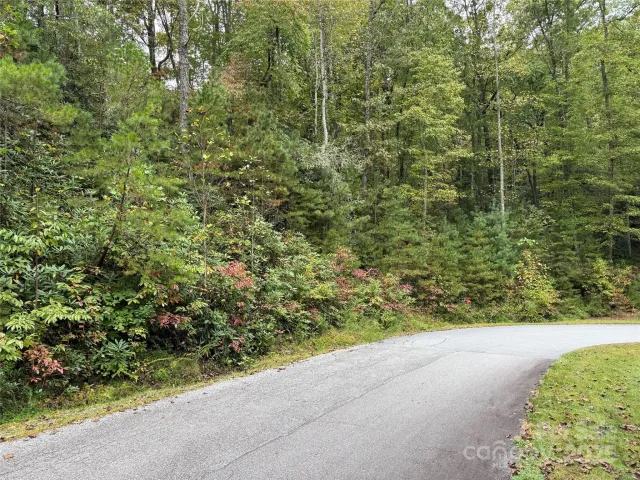 TDB Fern Cove Lane