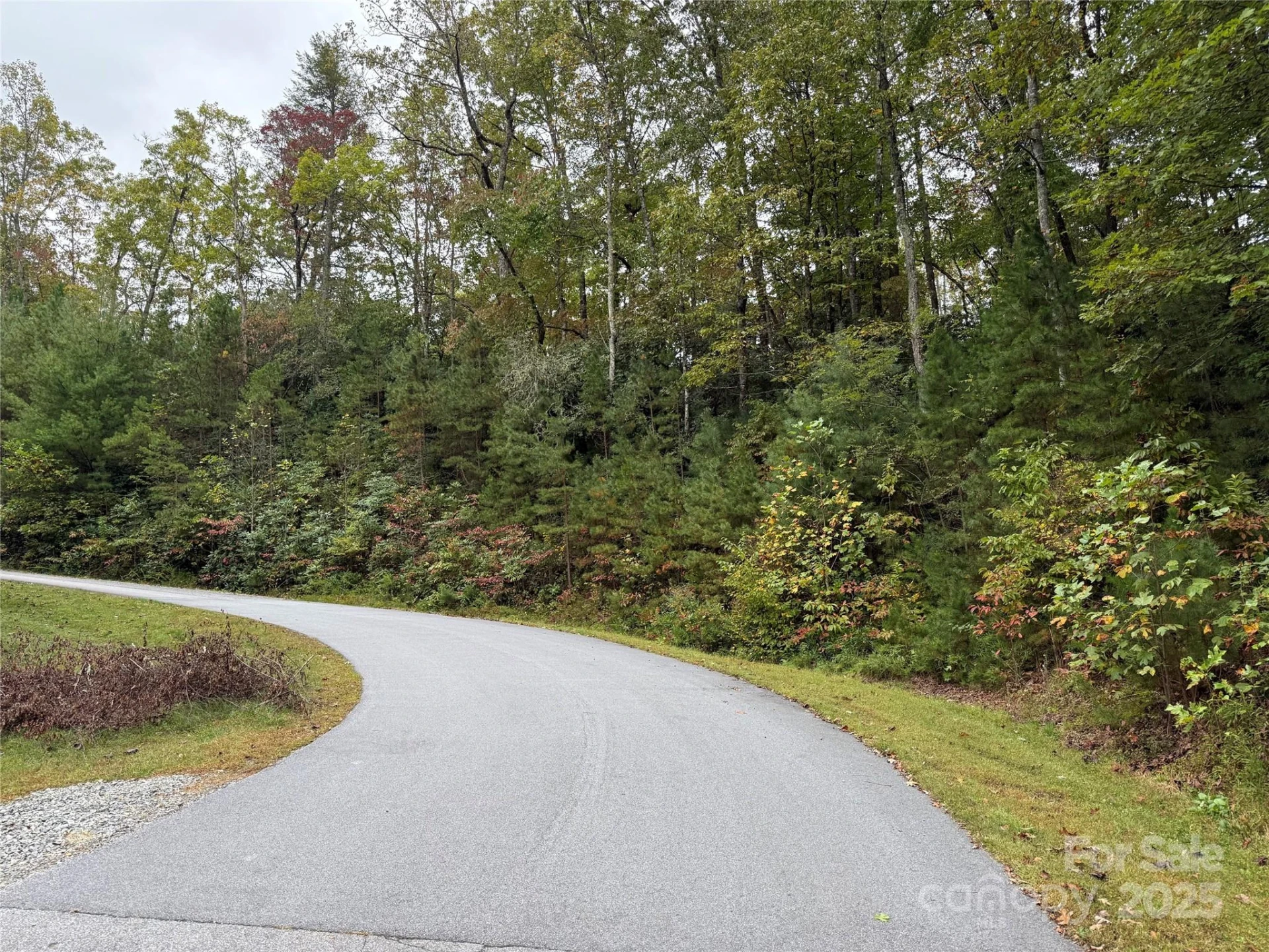 TDB Fern Cove Lane #44 - Photo 3