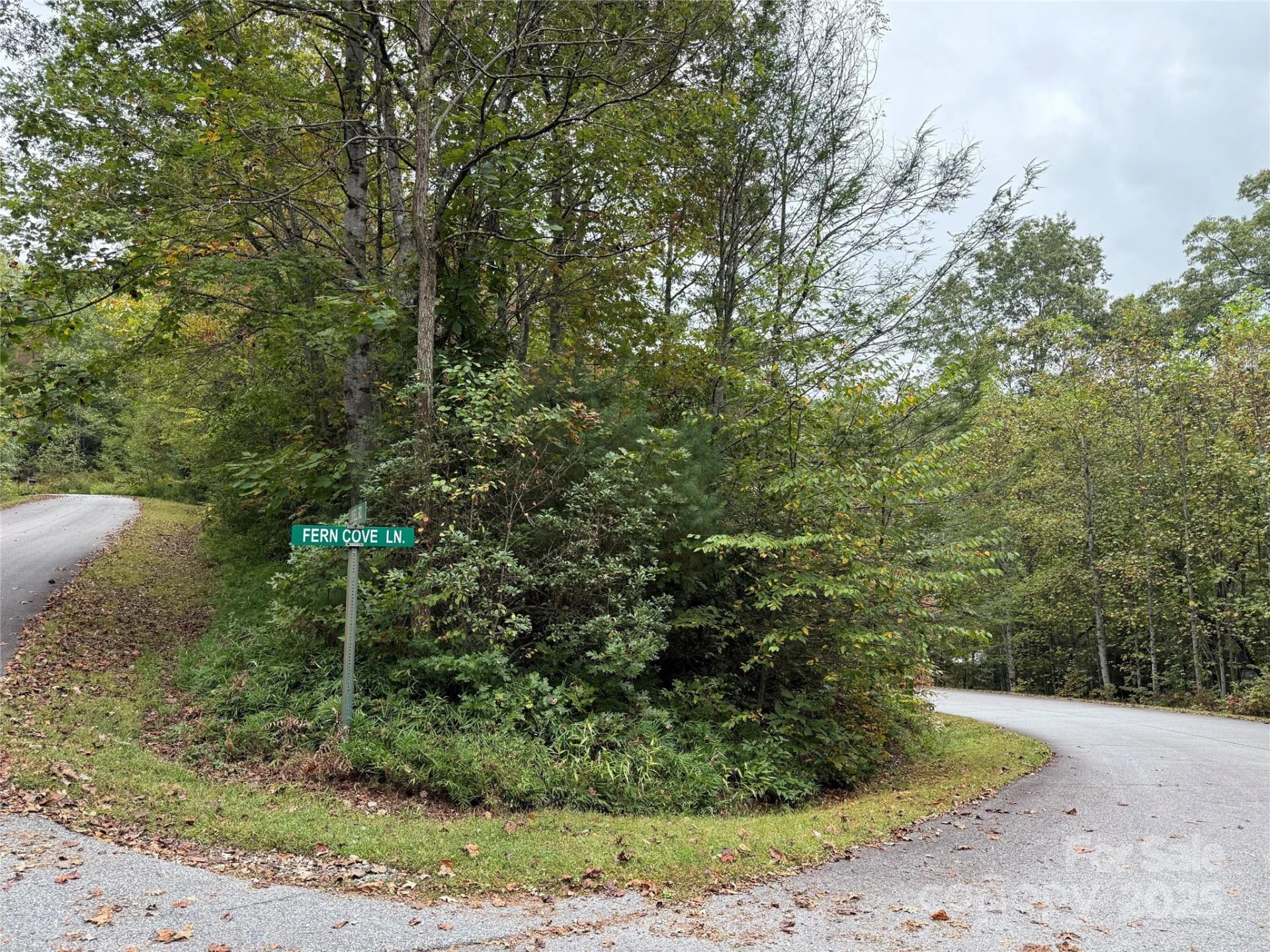 TDB Fern Cove Lane #44 - Photo 4