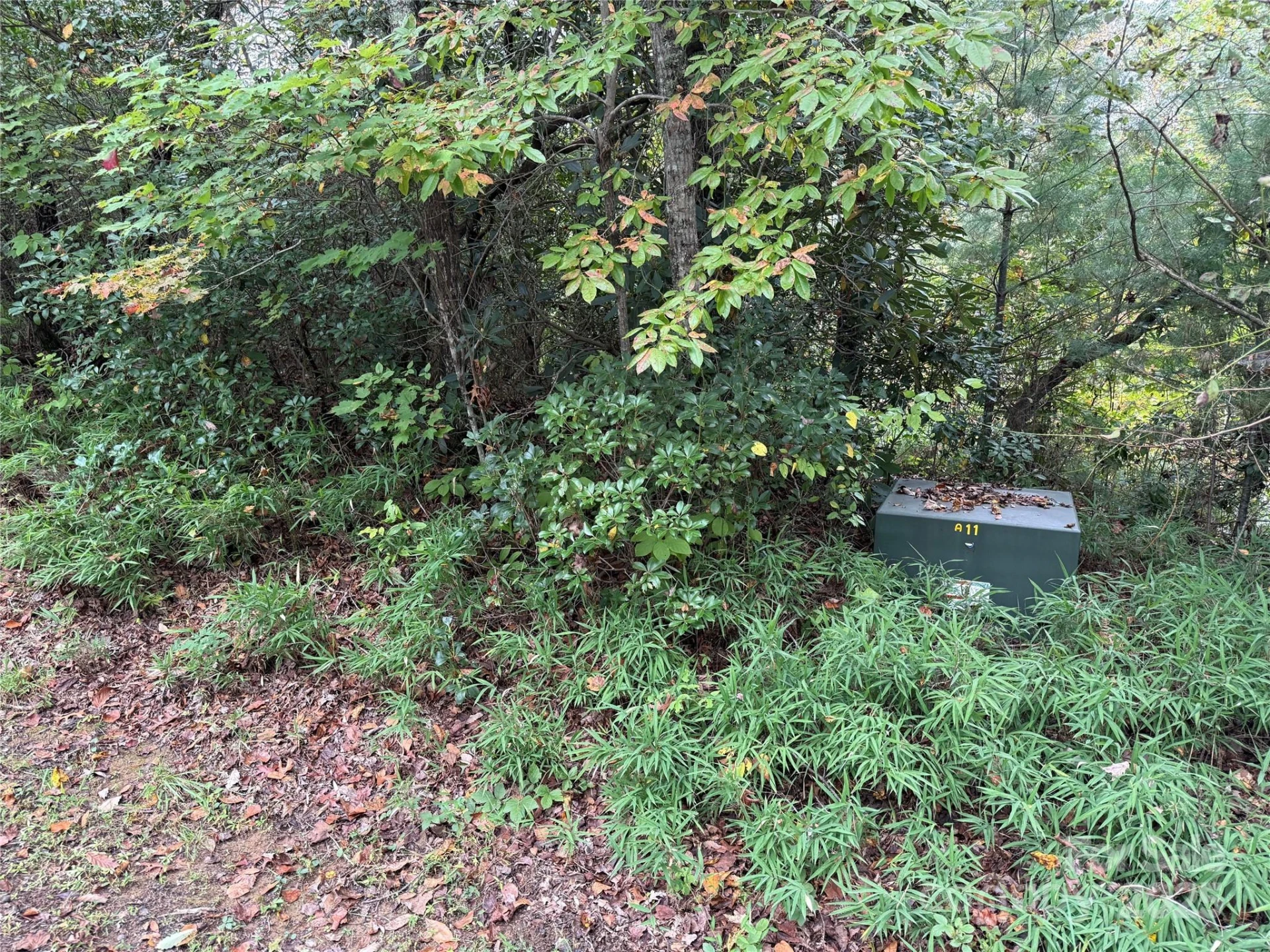 TDB Fern Cove Lane #44 - Photo 9