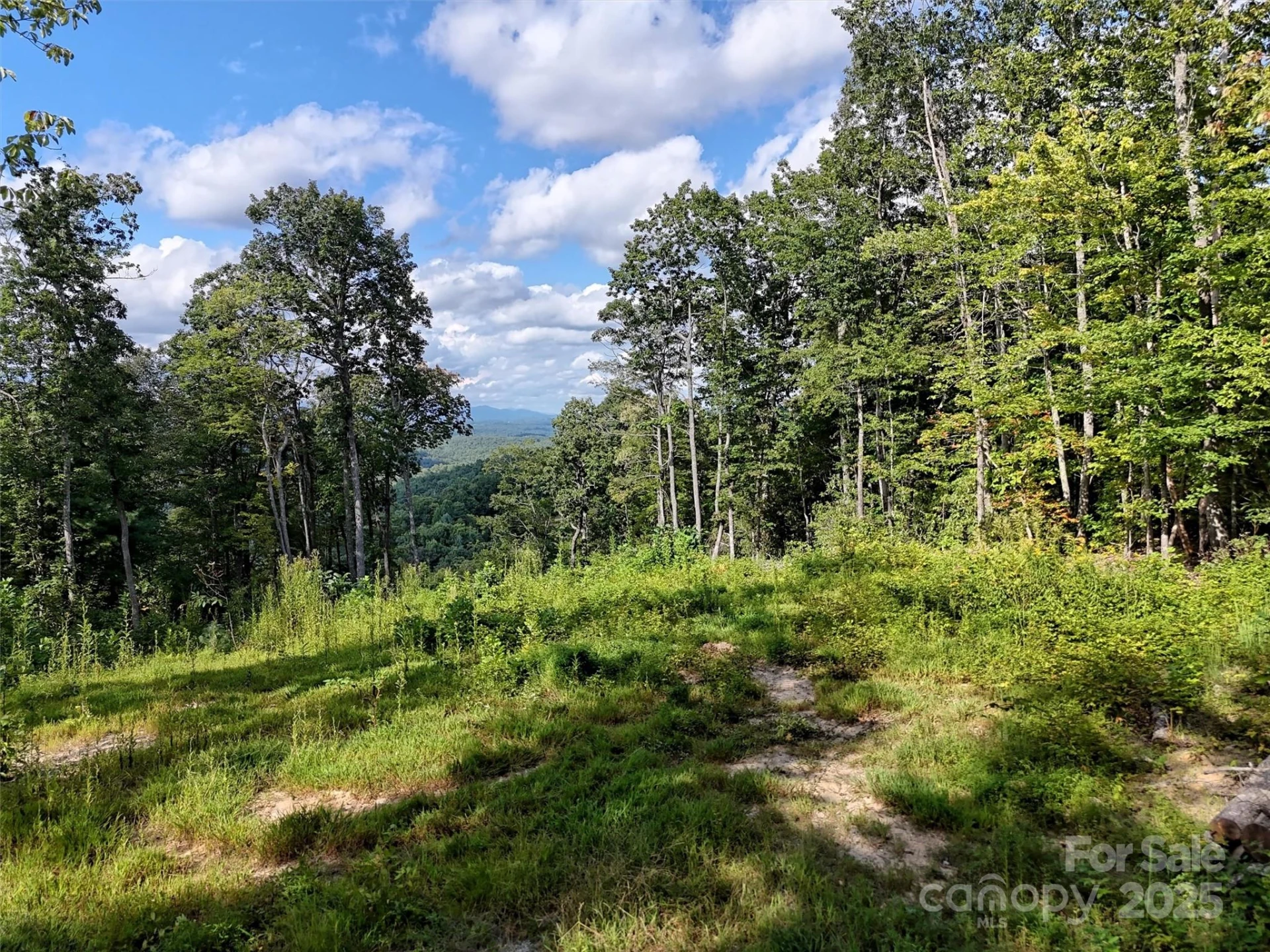 00 Bell Mountain Road - Photo 16